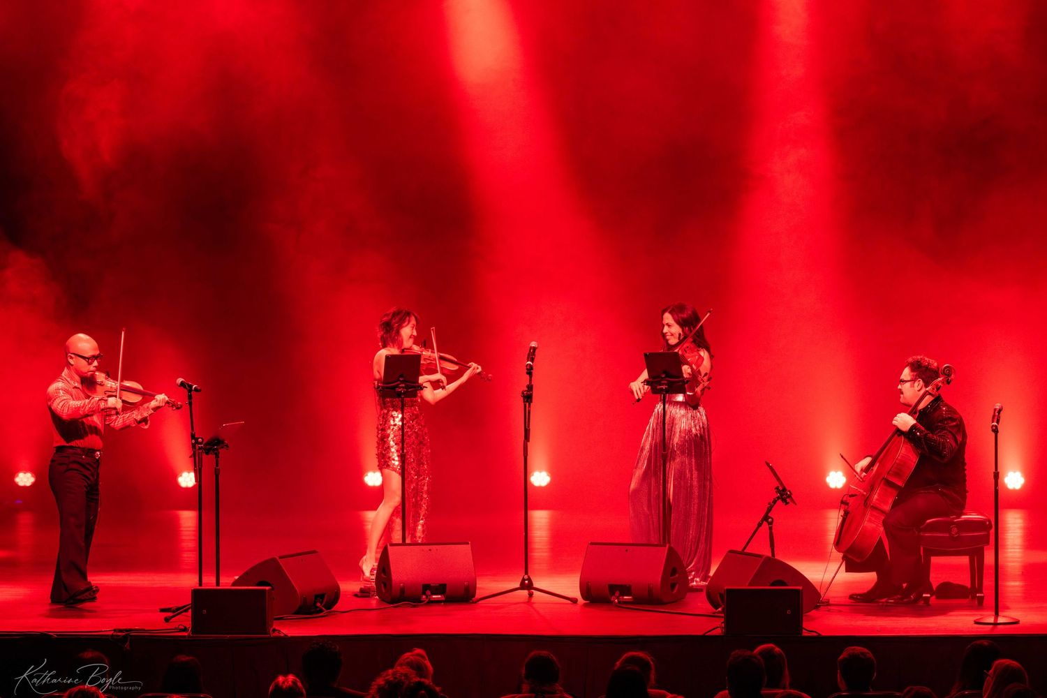 Vitamin String Quartet