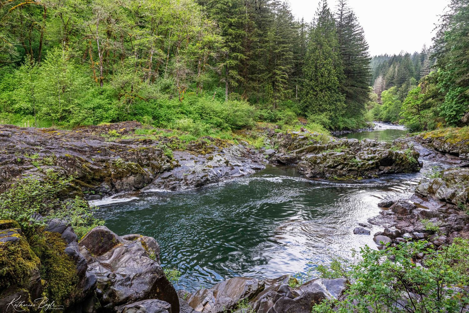 Moulton Falls, Yacolt WA