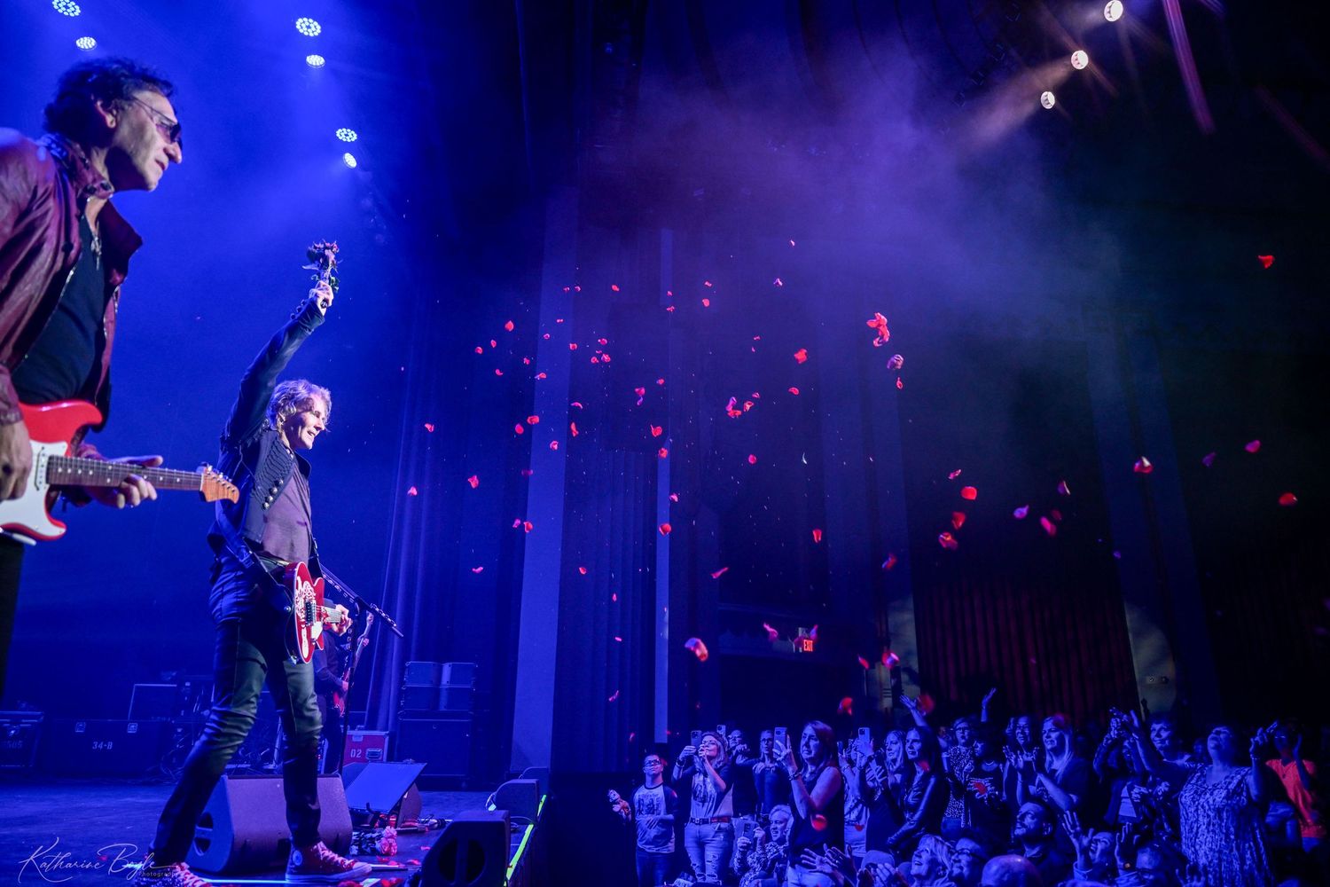 Rick Springfield