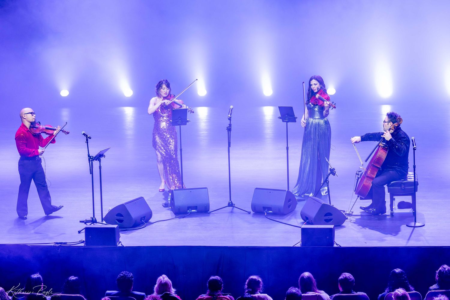 Vitamin String Quartet