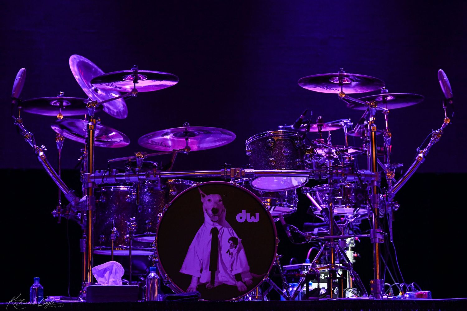 Rick Springfield