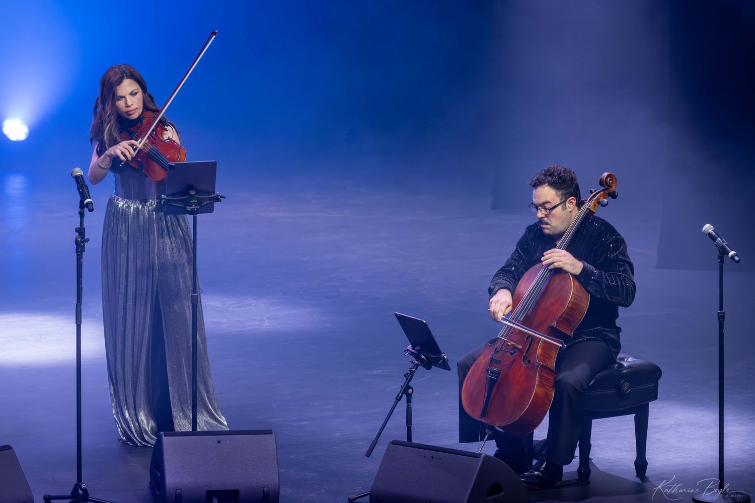 Vitamin String Quartet