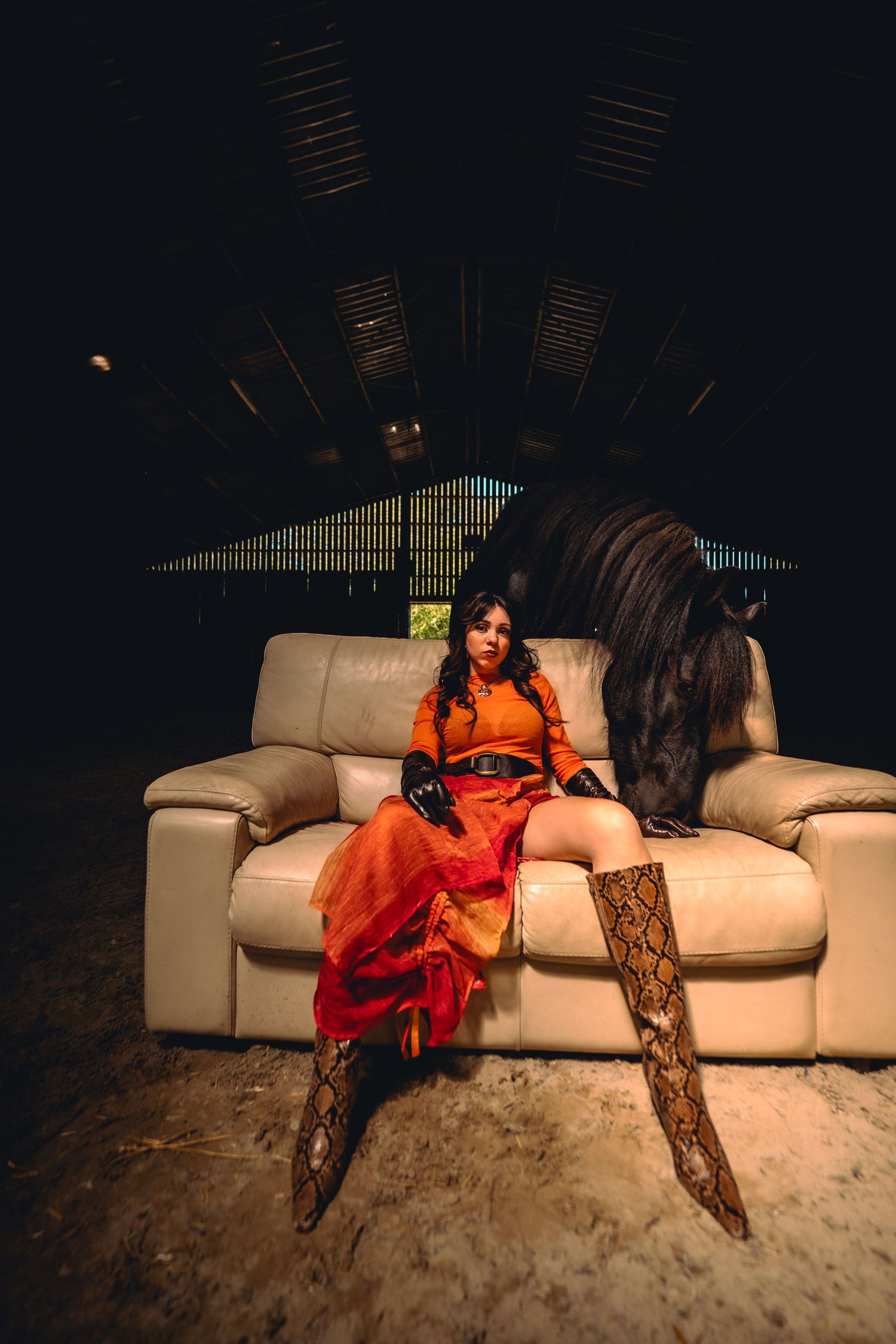 horse couture photography