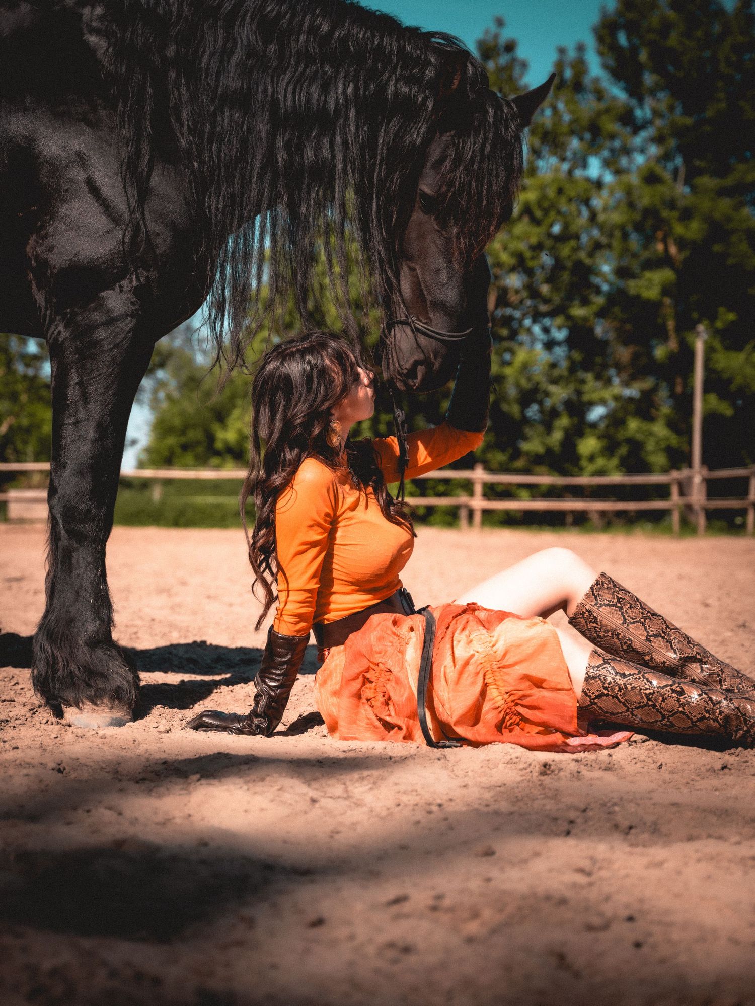 horse couture