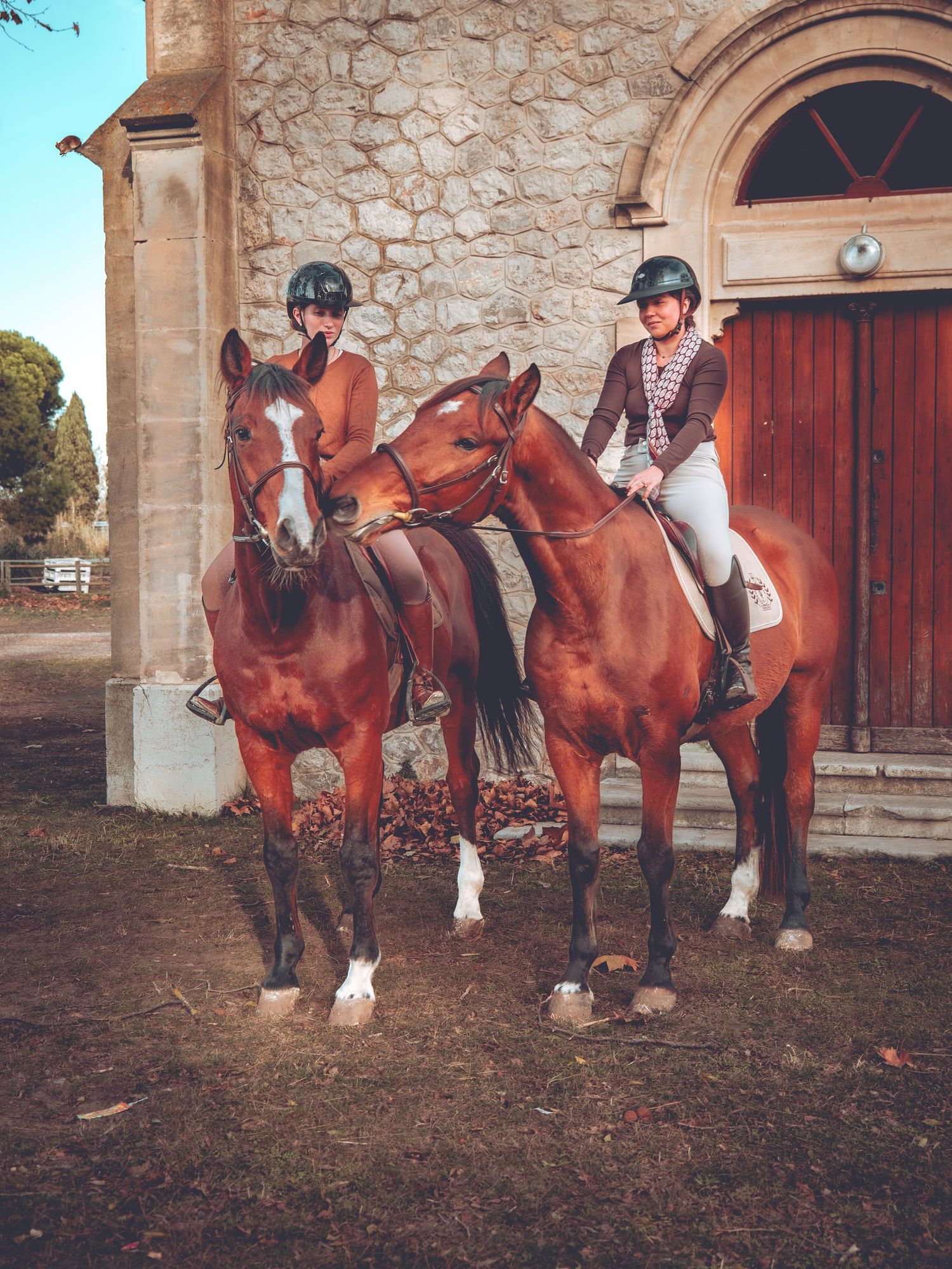 duo cavalier