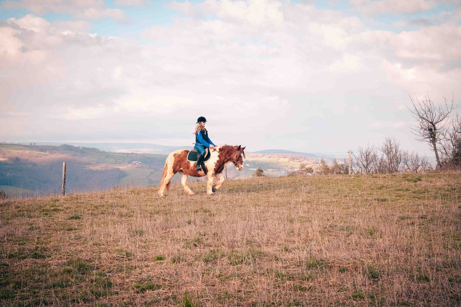 lien cavalier cheval en images