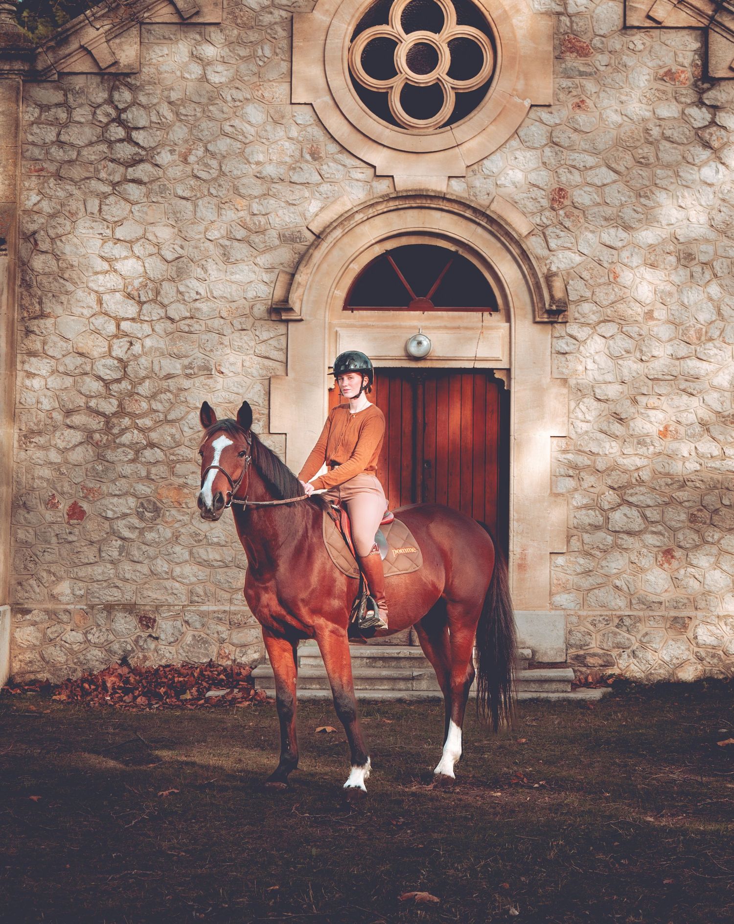 cheval et cavalier