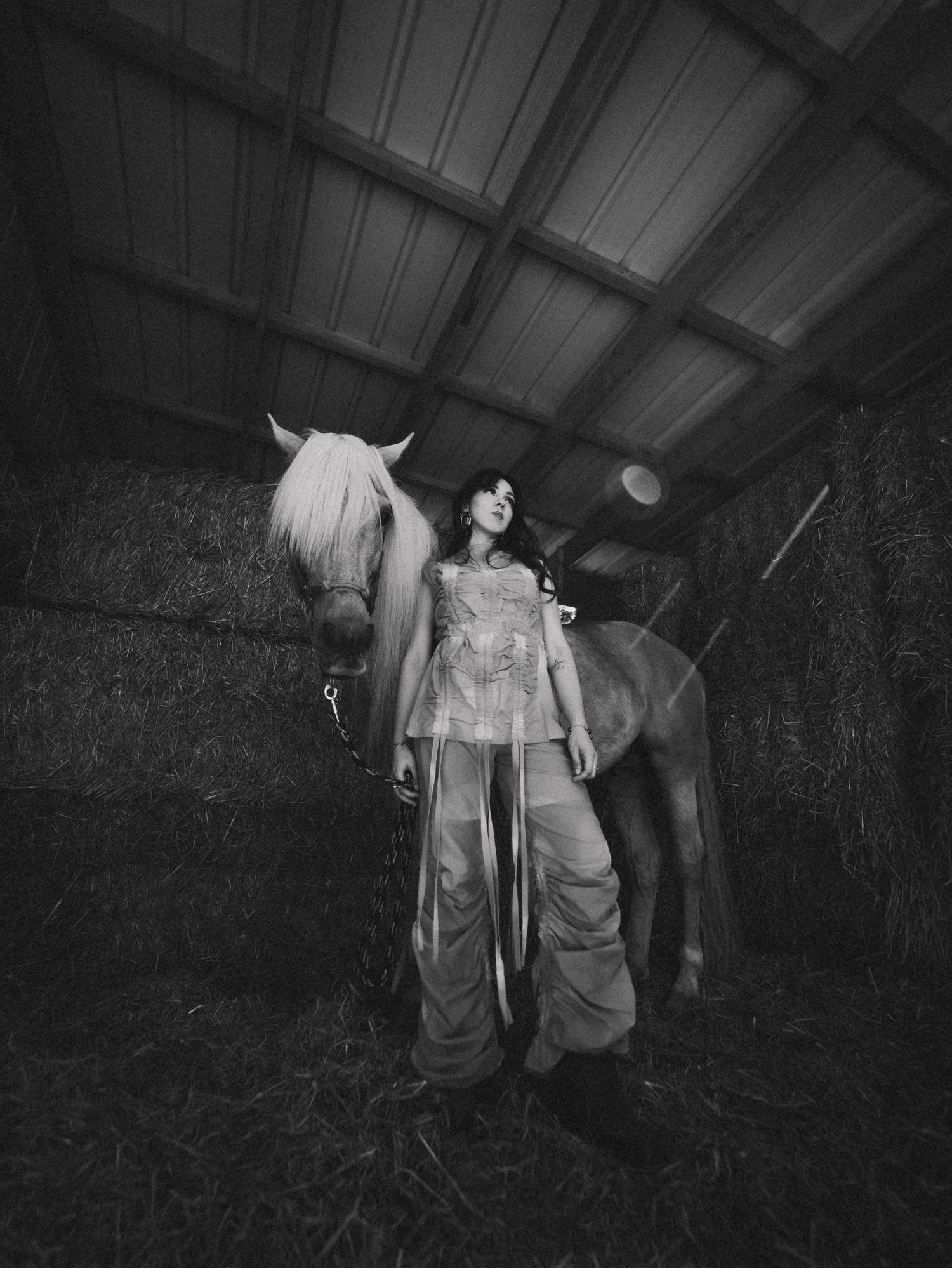 horse couture noir & blanc