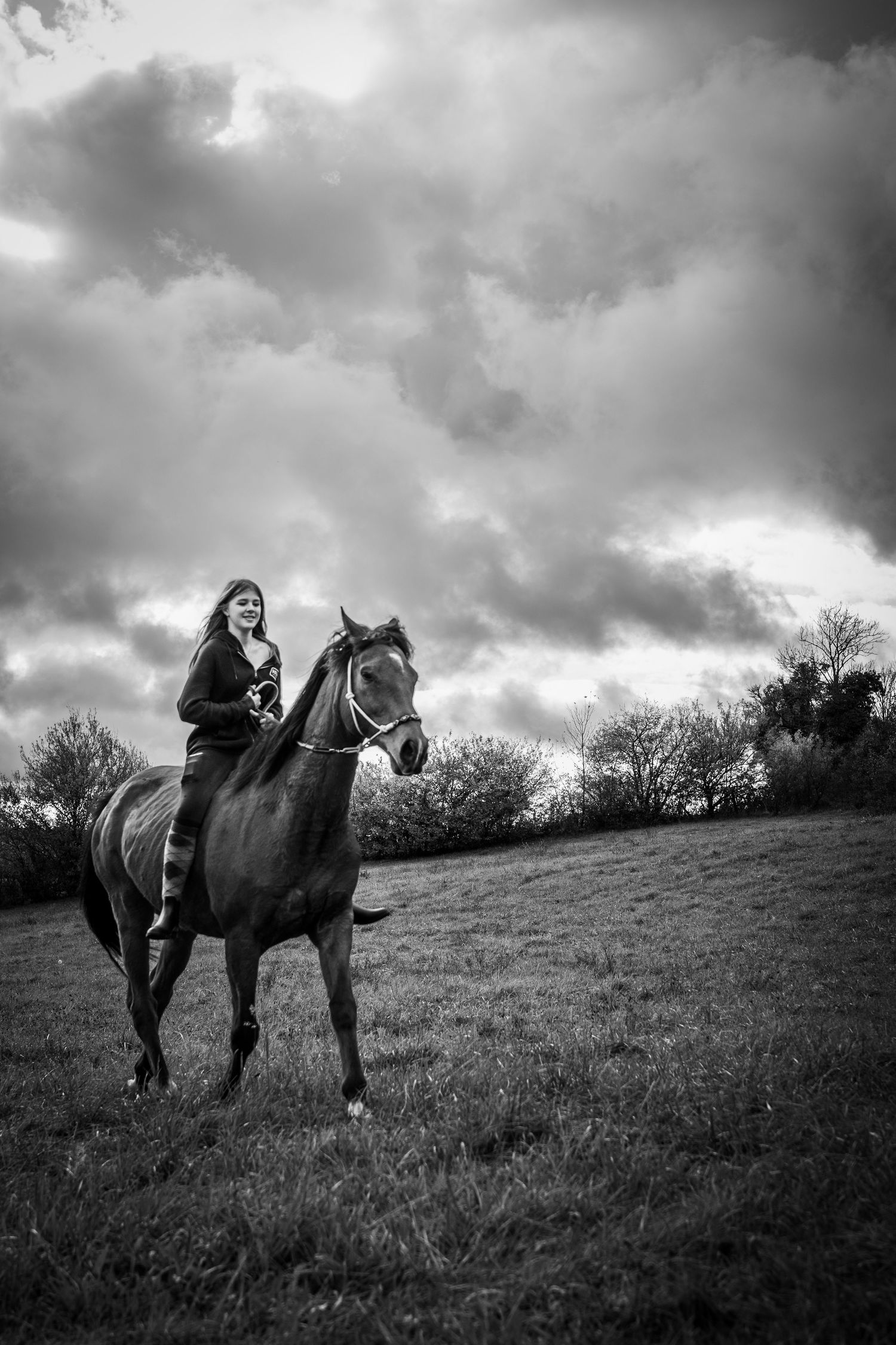 photographe équestre cavalier et cheval