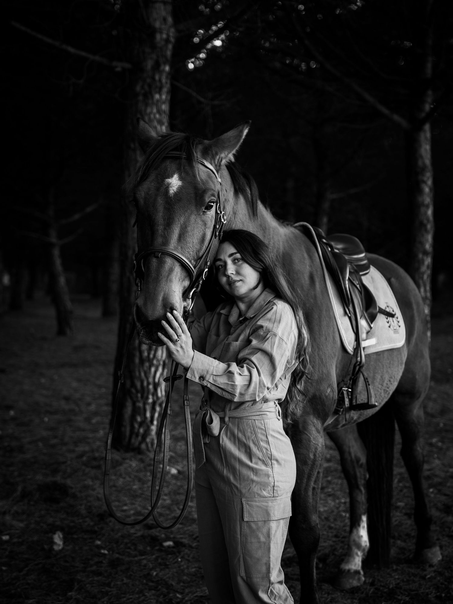 photograhe équestre montpellier