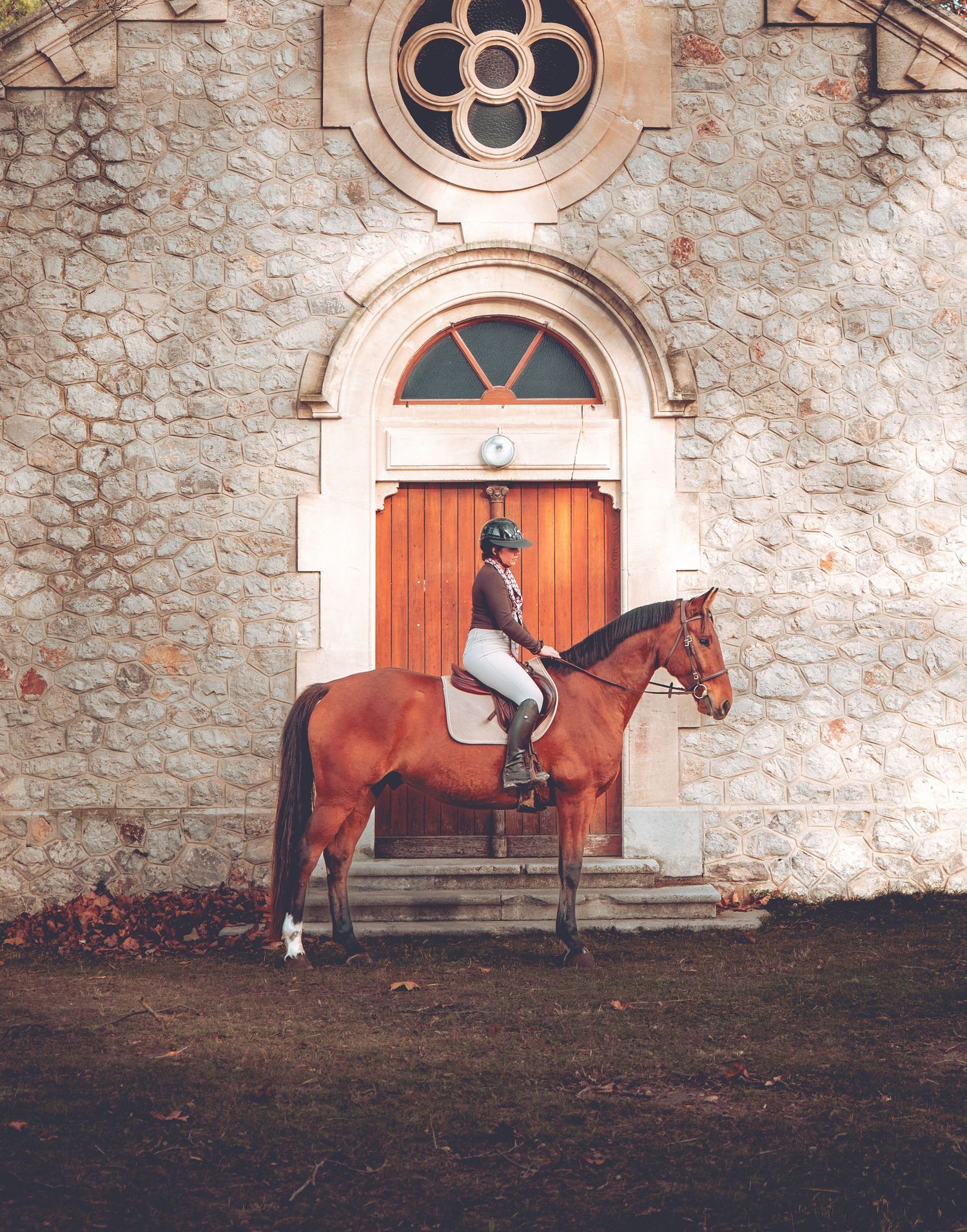 horse shoot