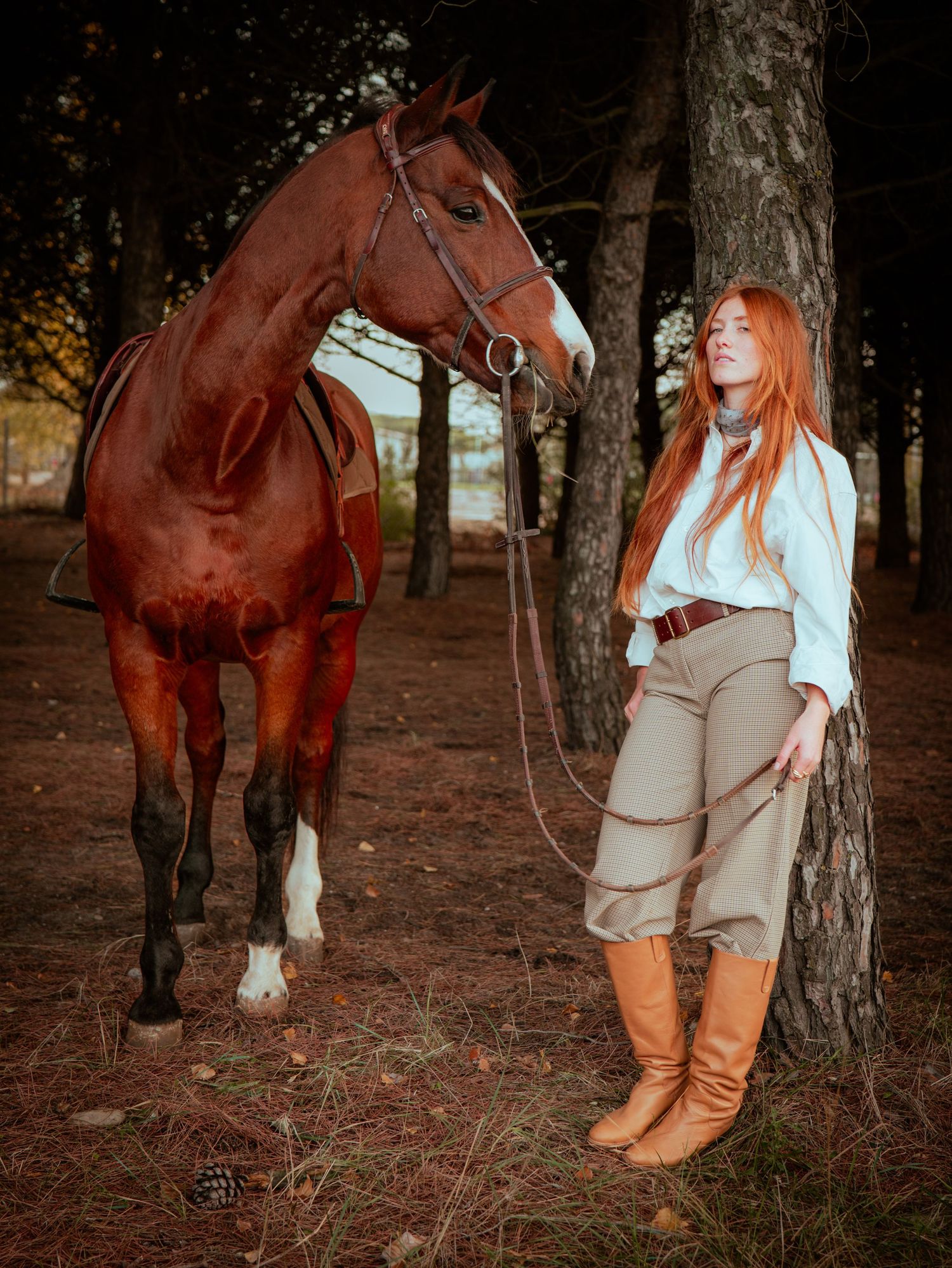 portrait cavalier