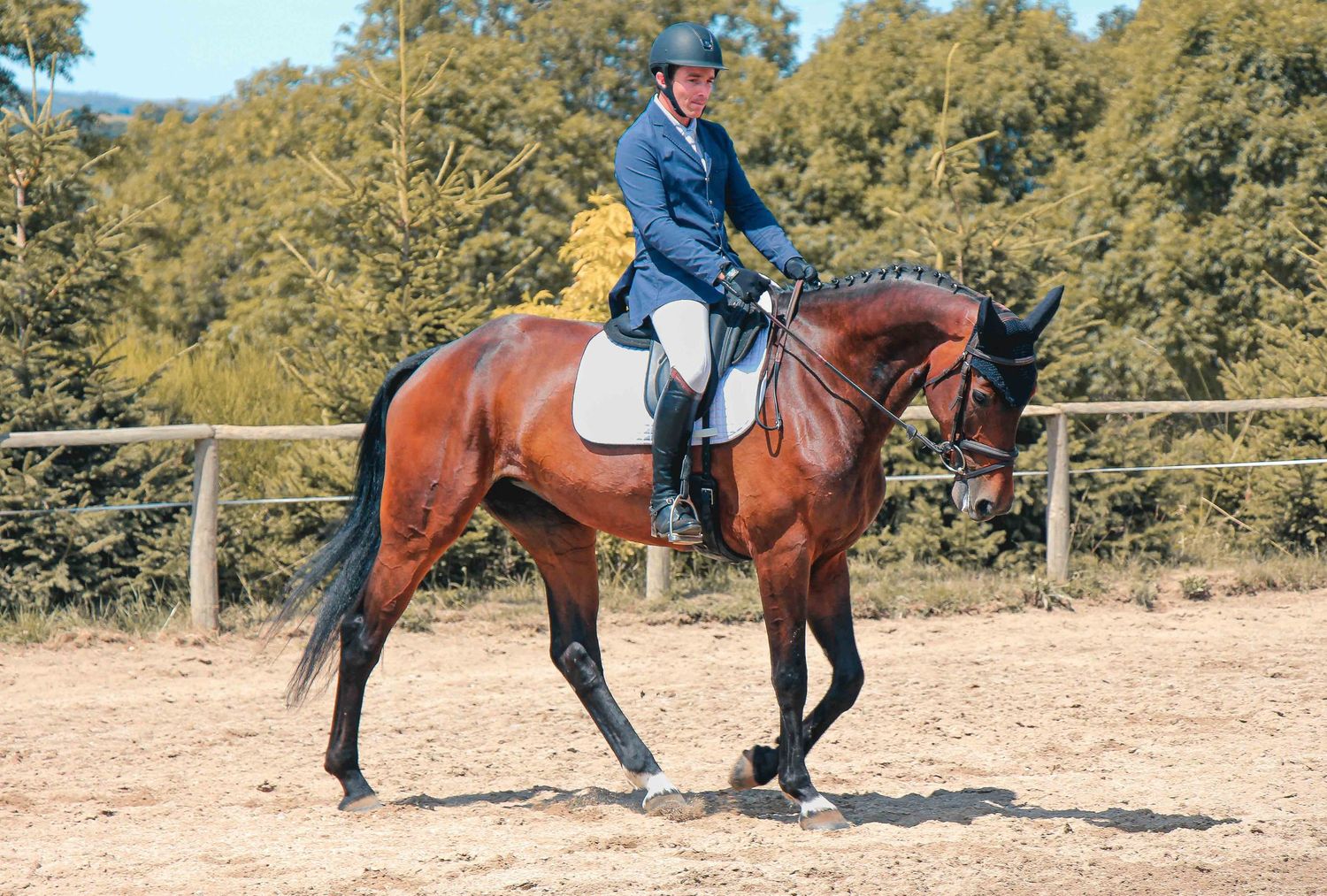 reportage photo compétition équitation