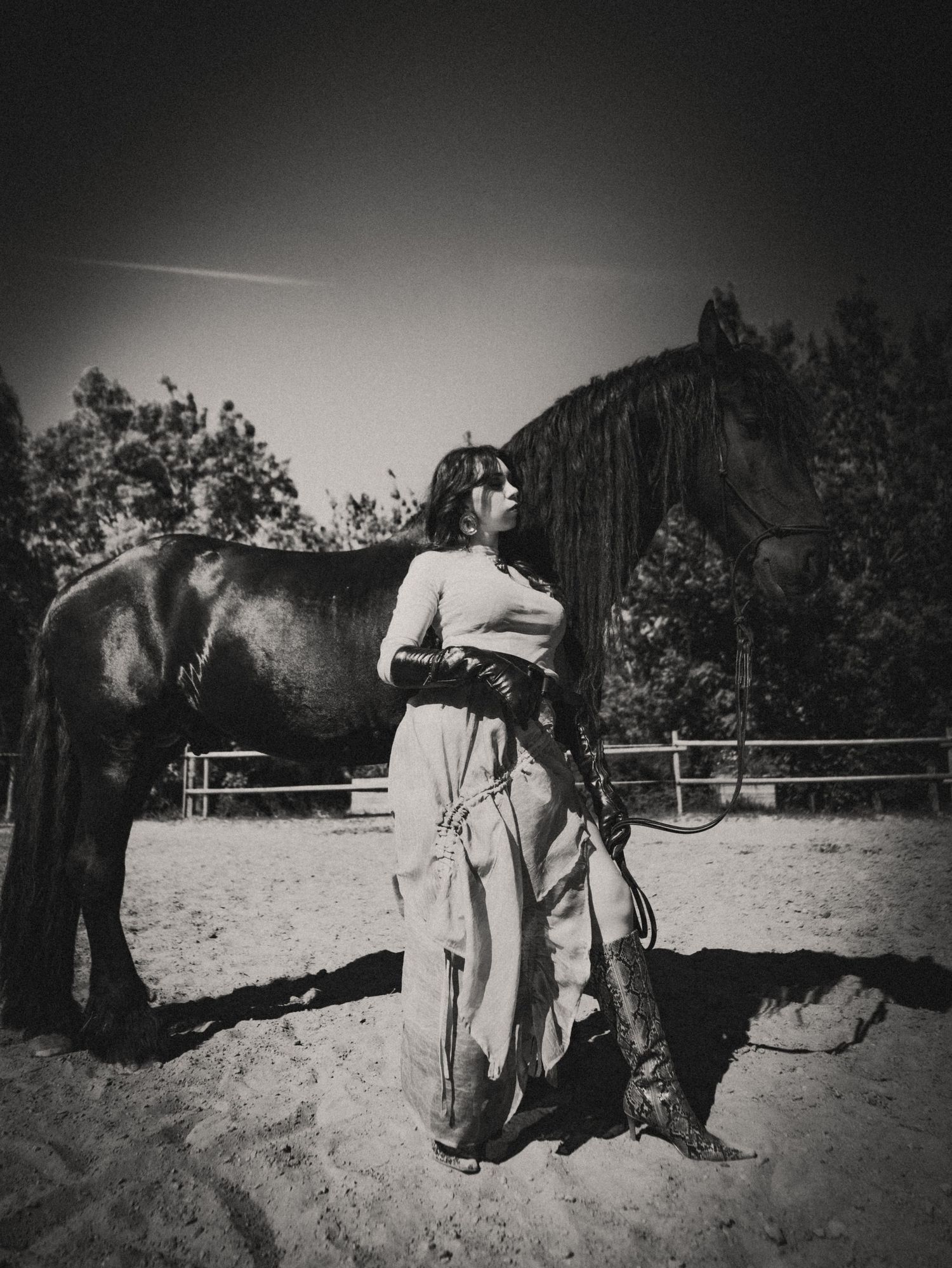 horse couture mode