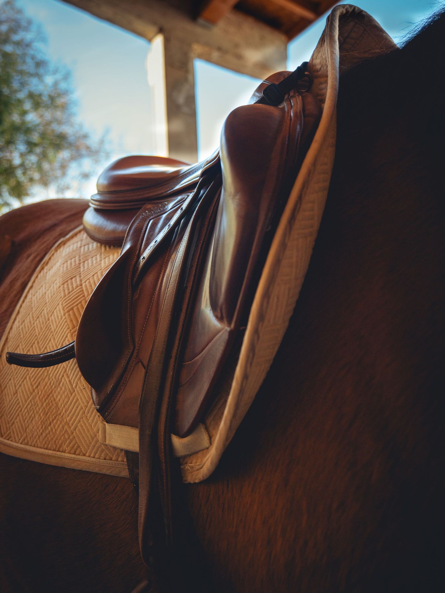 shooting selle équitation