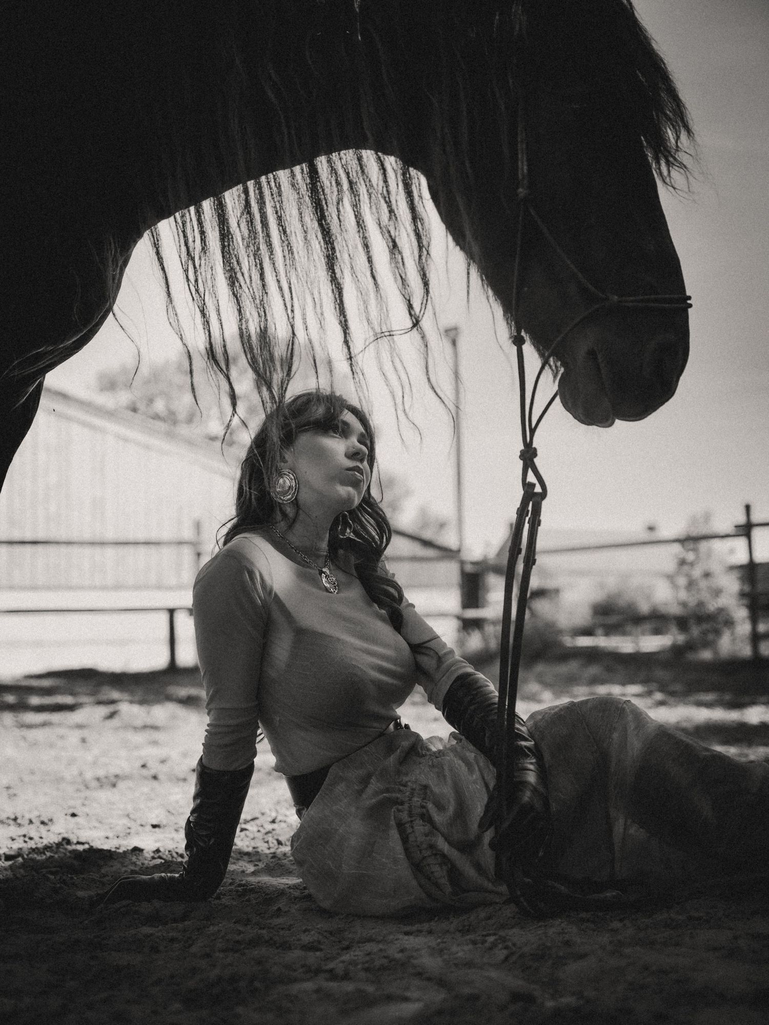 horse couture concept