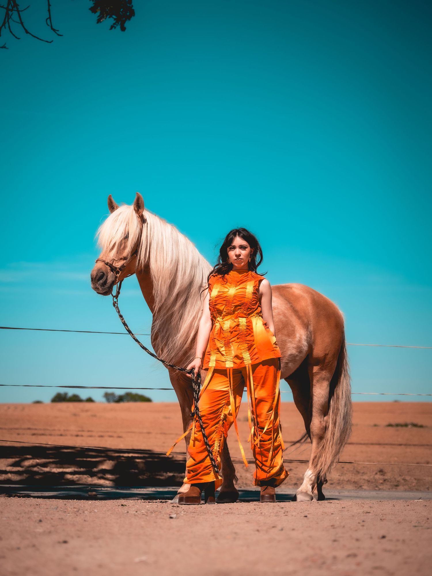 shooting éditorial cheval