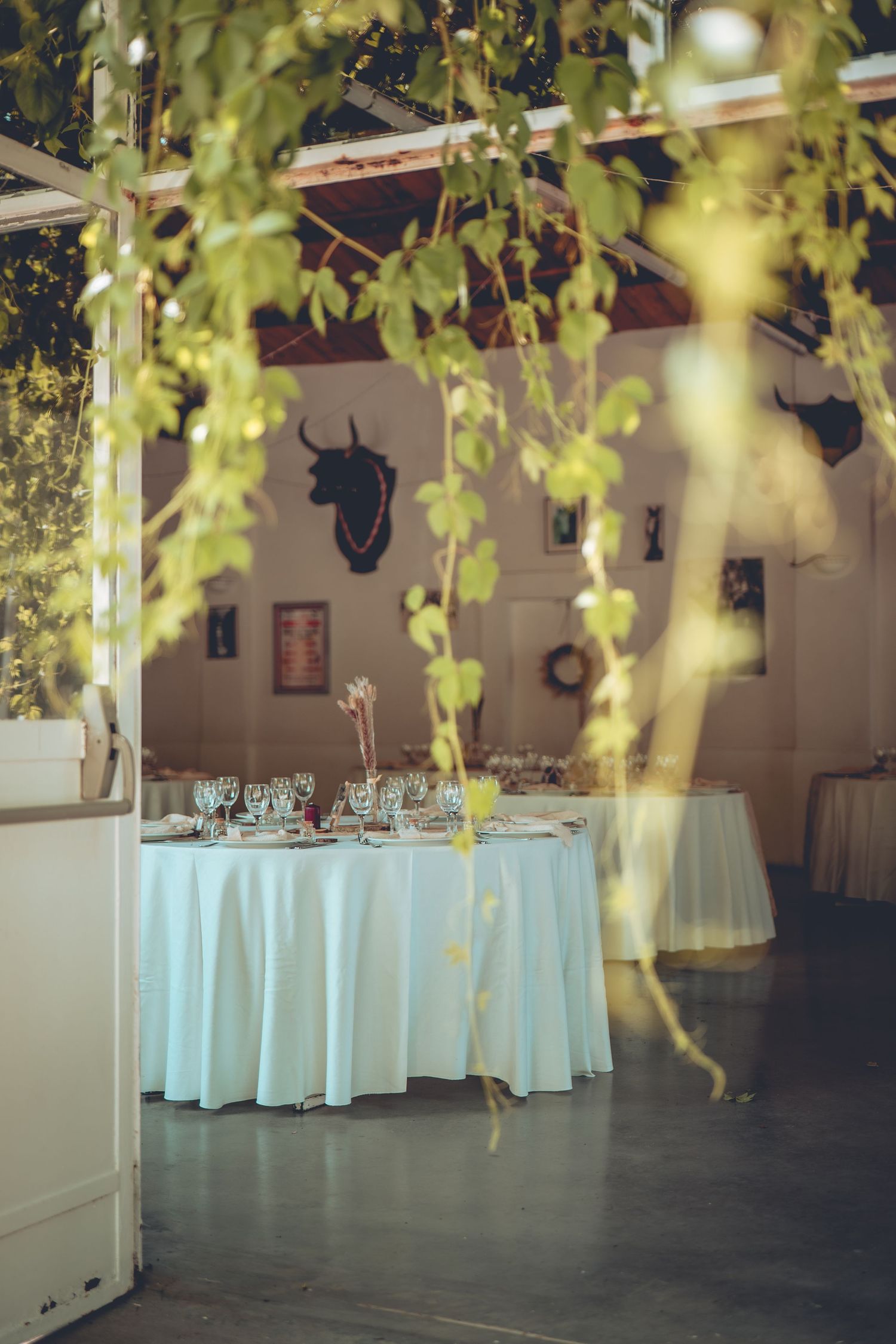 decorative photography wedding