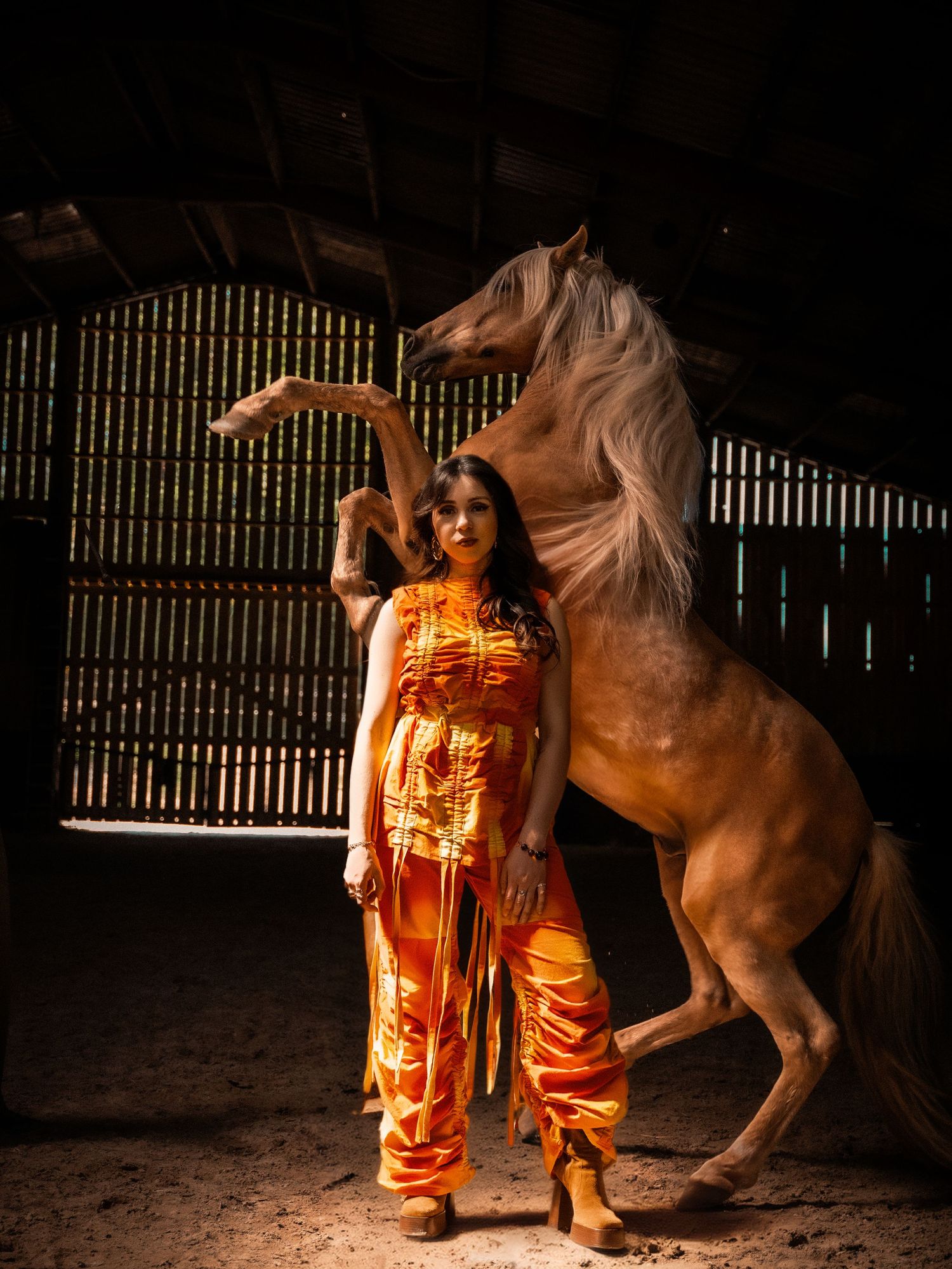 shooting mode équestre cheval espagnol