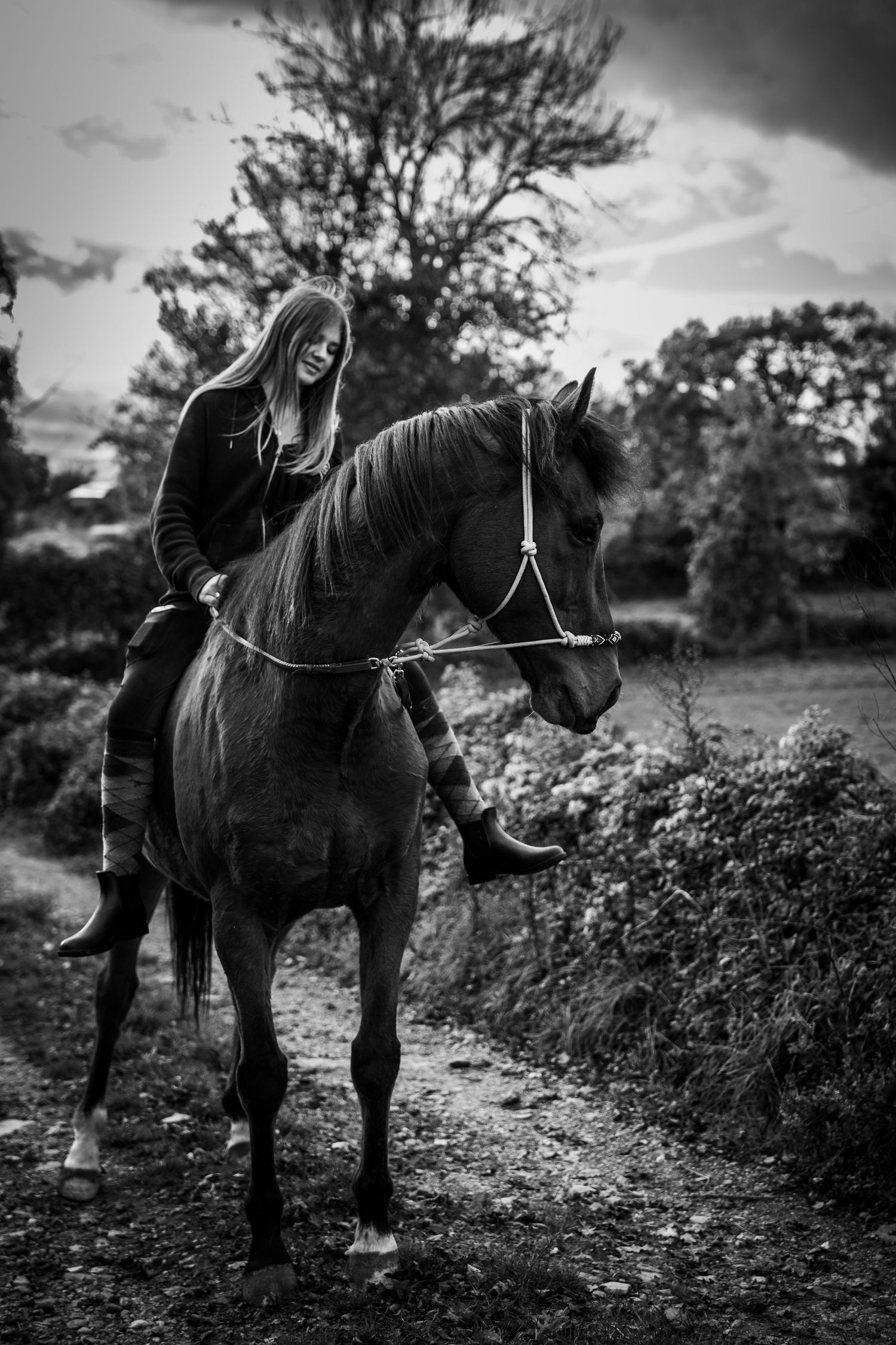 photographie cheval et cavalier