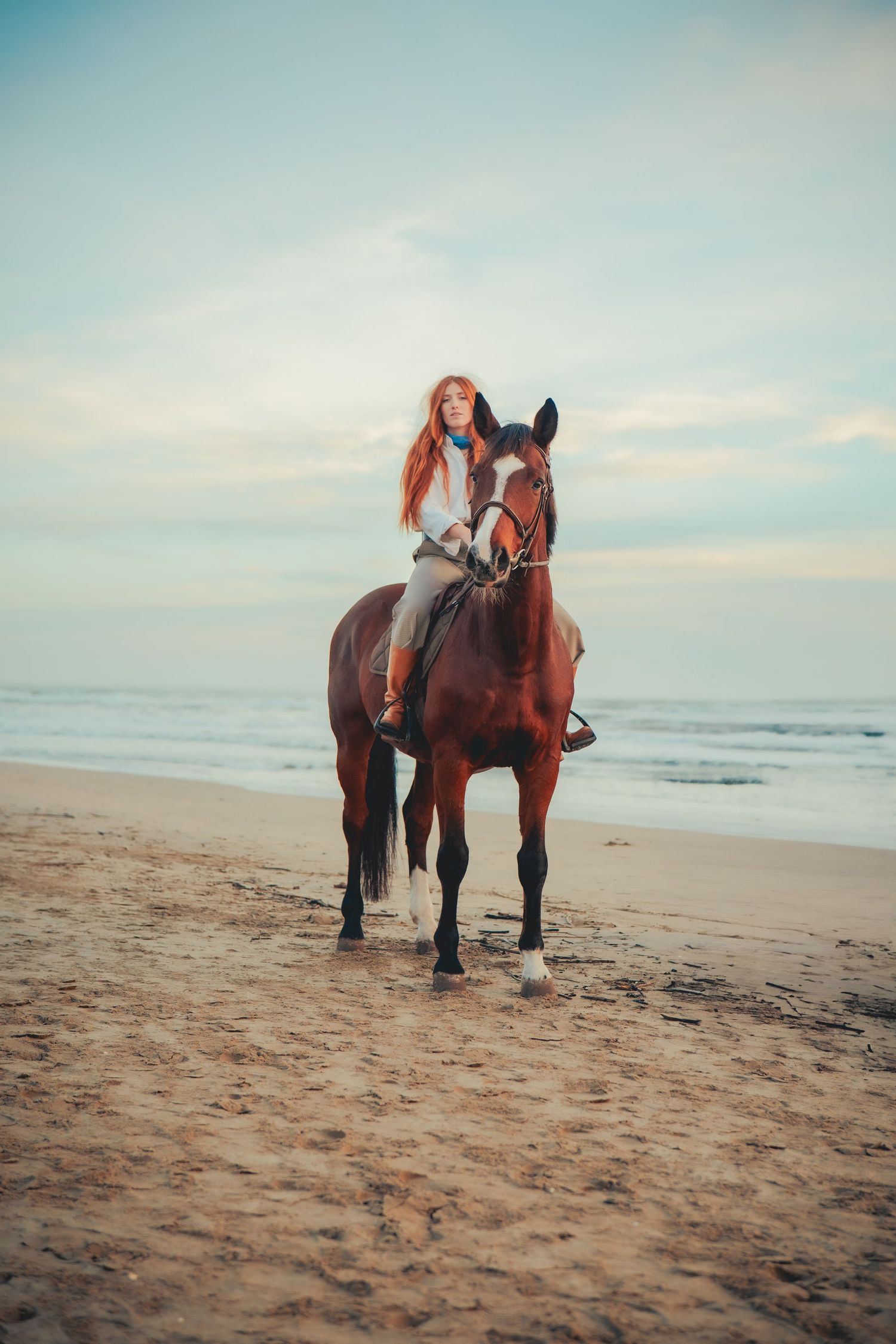 portrait cavalier plage
