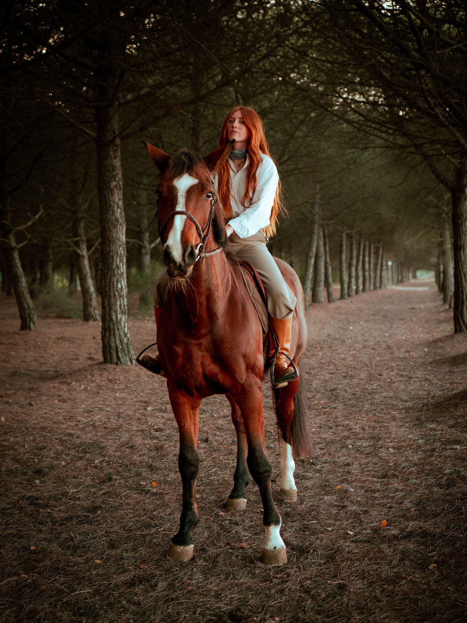 photographe cheval balade