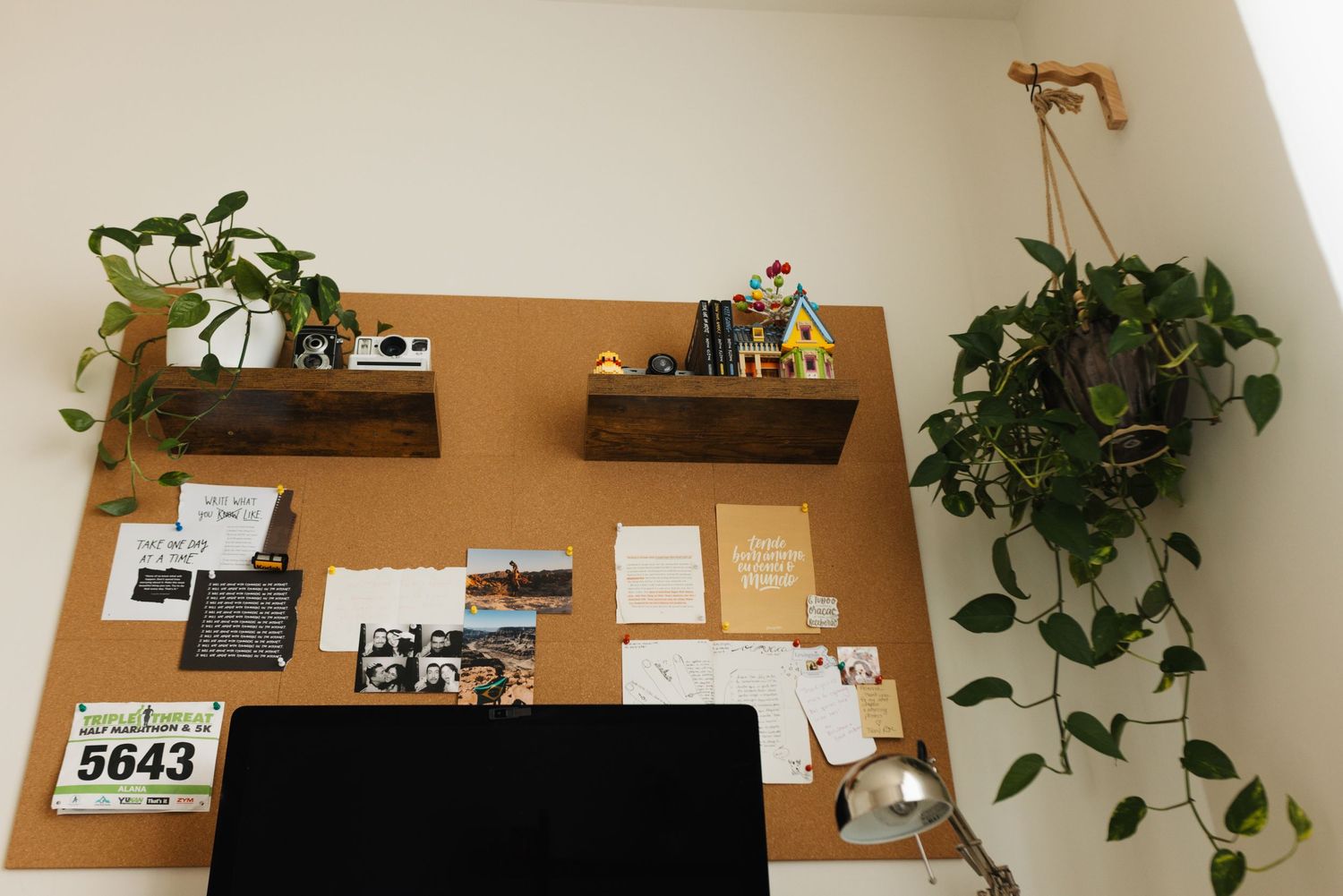 A brown cork board on a wall displays various papers and photos with decorative green plants hanging nearby.