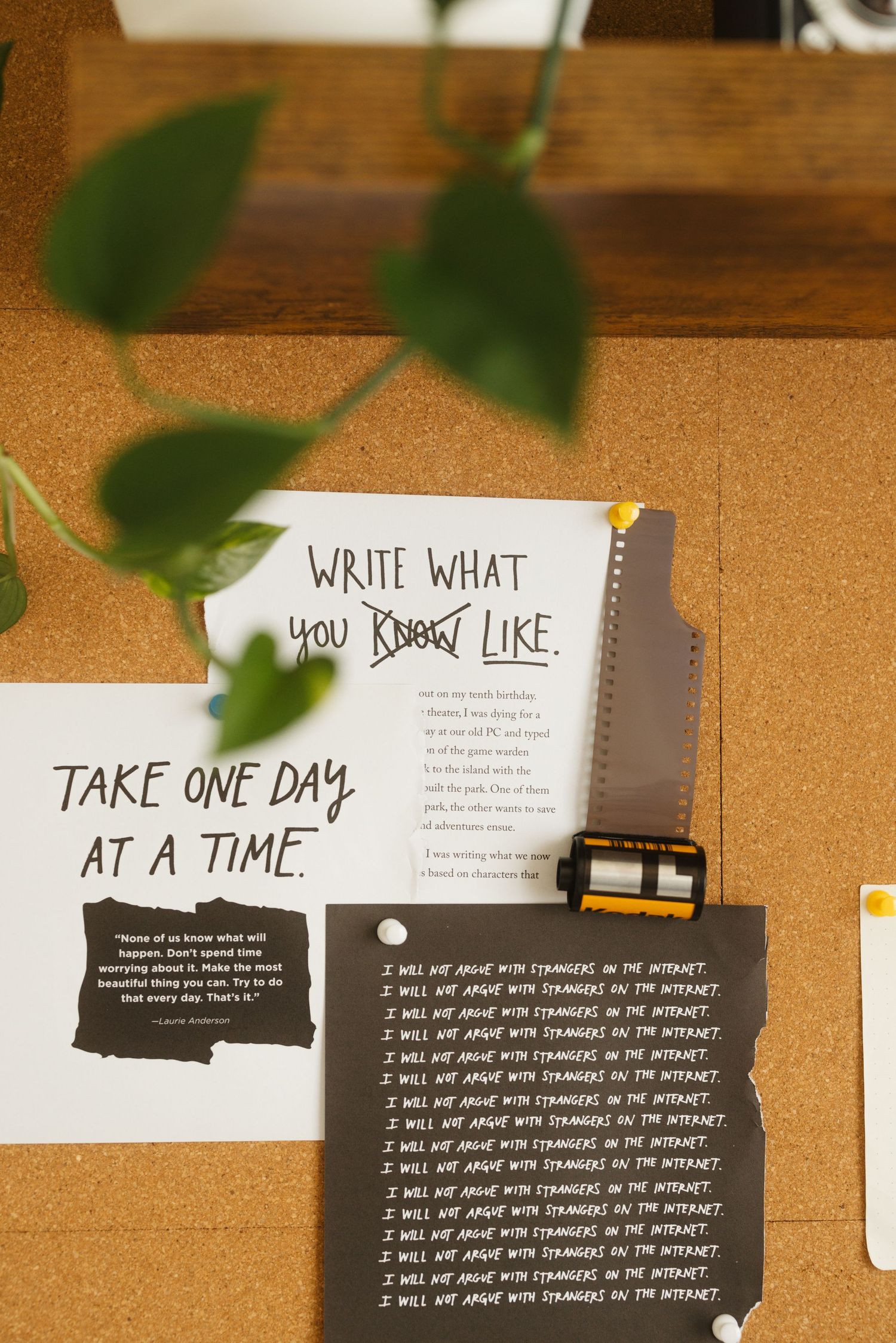 Inspirational quote books displayed on a wooden shelf with green foliage against a beige textured background.