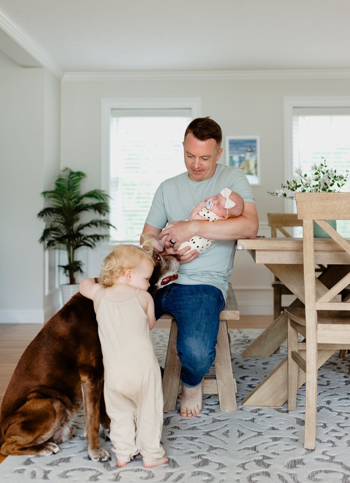 A brown dog interacts with a family during a playful photoshoot sequence in a bright indoor setting.