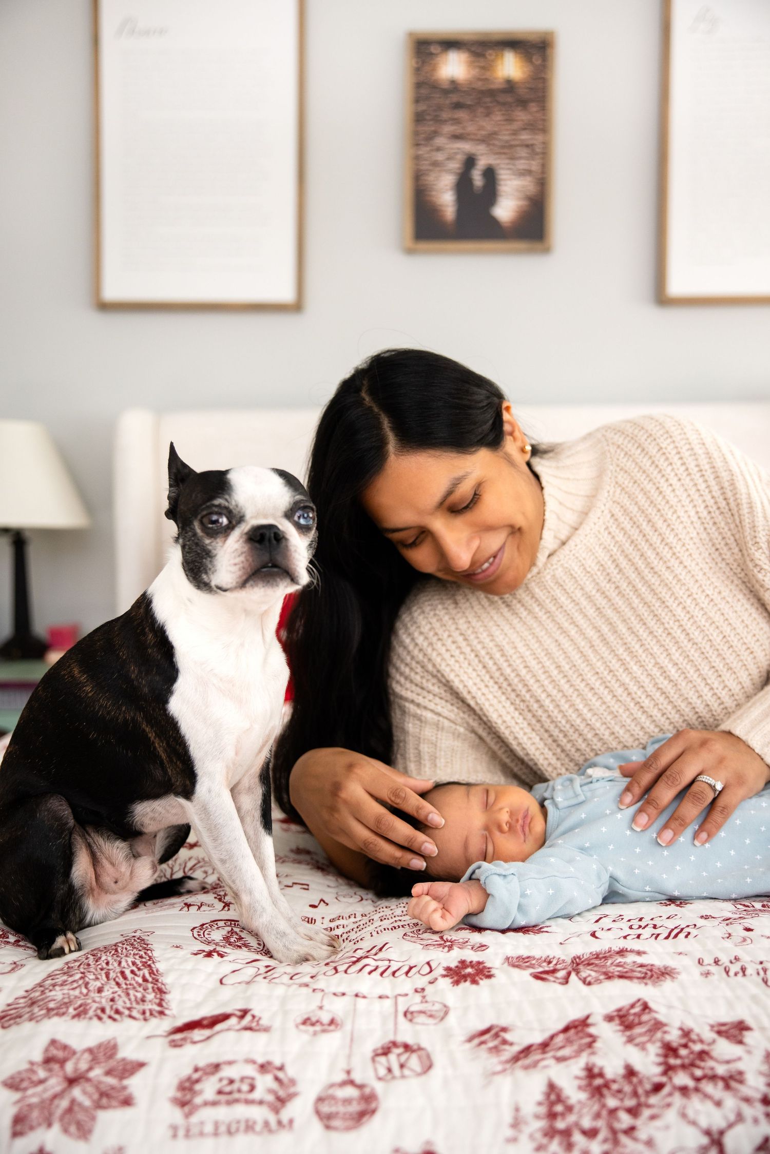 A Boston Terrier dog sits nearby while watching a calm indoor moment on a floral patterned bedspread.