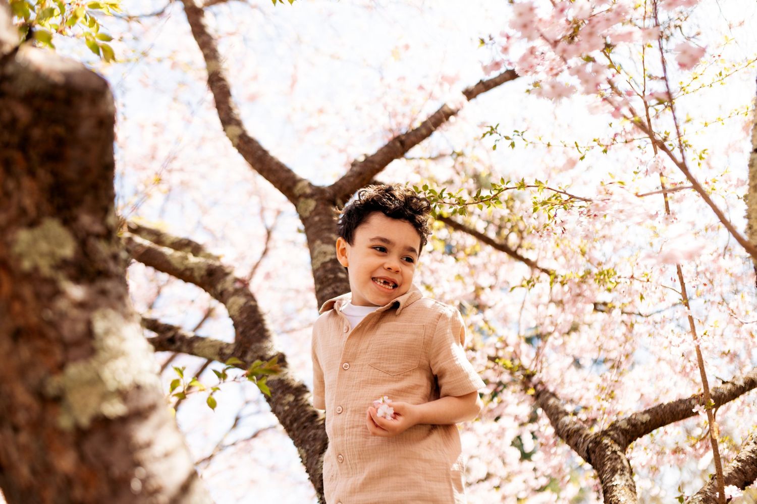 Cherry blossom branches frame a portrait against a soft pink and white spring background.
