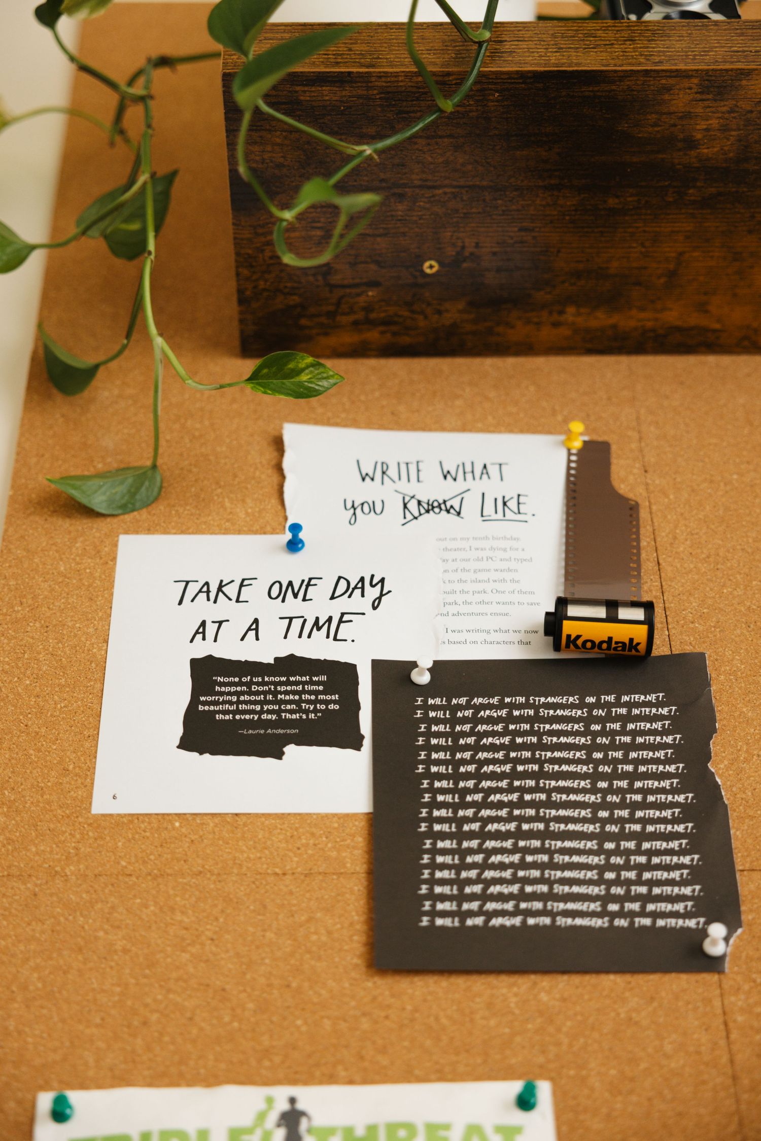 Black motivational quote cards pinned to a brown cork board with hanging vines decorating the edges.