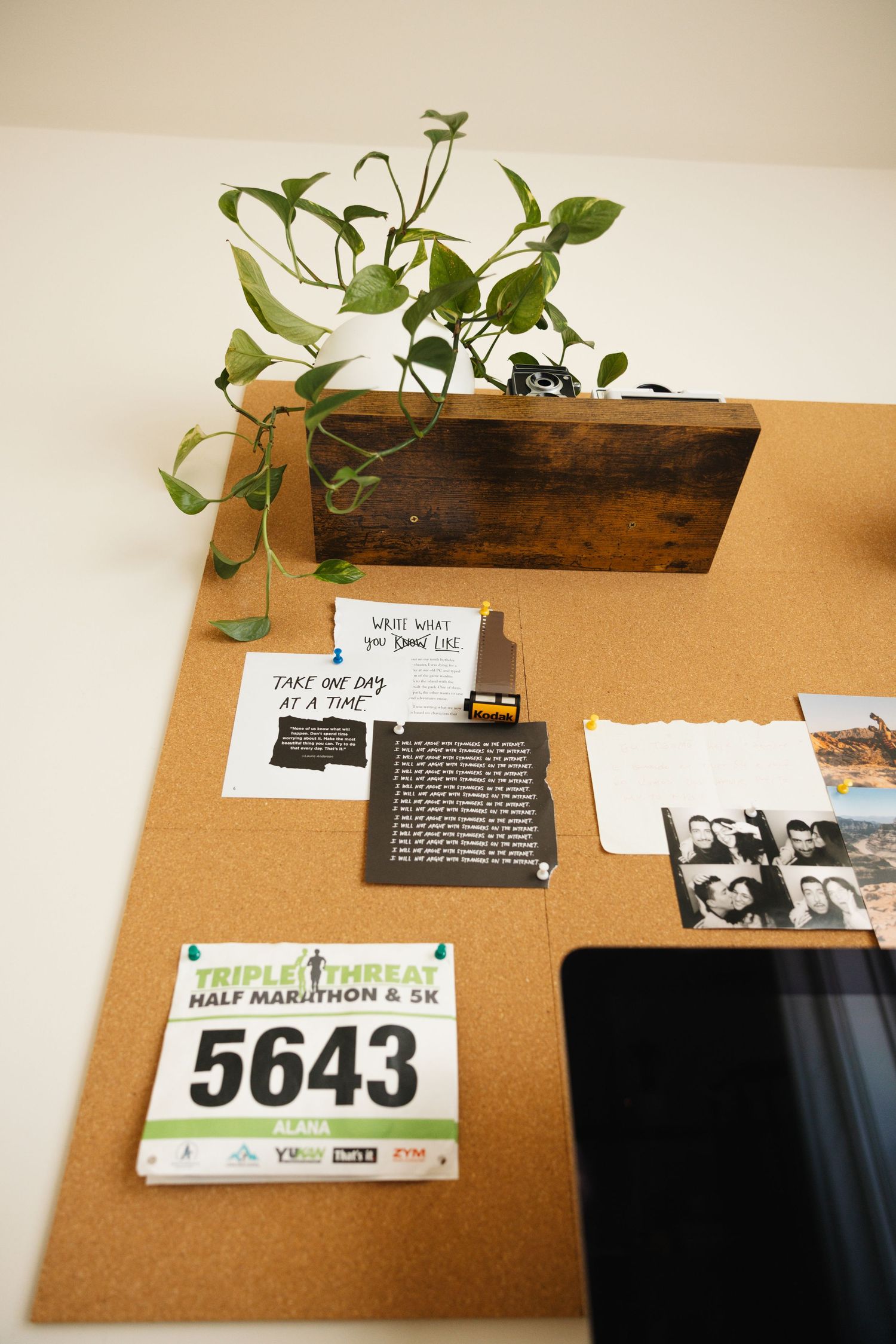 Kelly Green plant growing in wooden planter box next to race bib number 5643 in gallery display setting.
