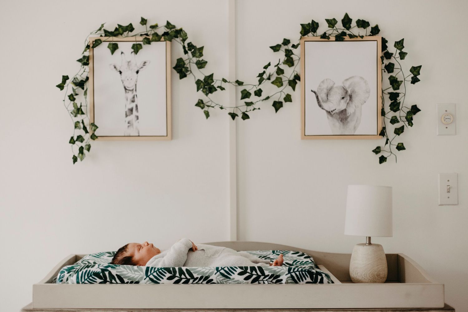 Interior view of minimalist room with hanging ivy plants and white walls.