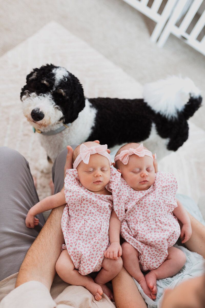 Twin babies in matching pink outfits lie together with a black and white dog watching over them.