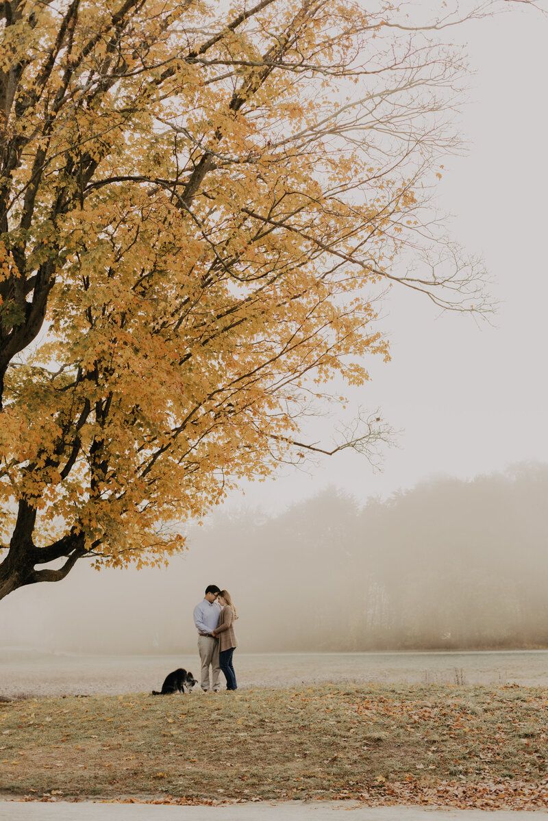 Misty autumn landscape with golden trees and figures in the distance.