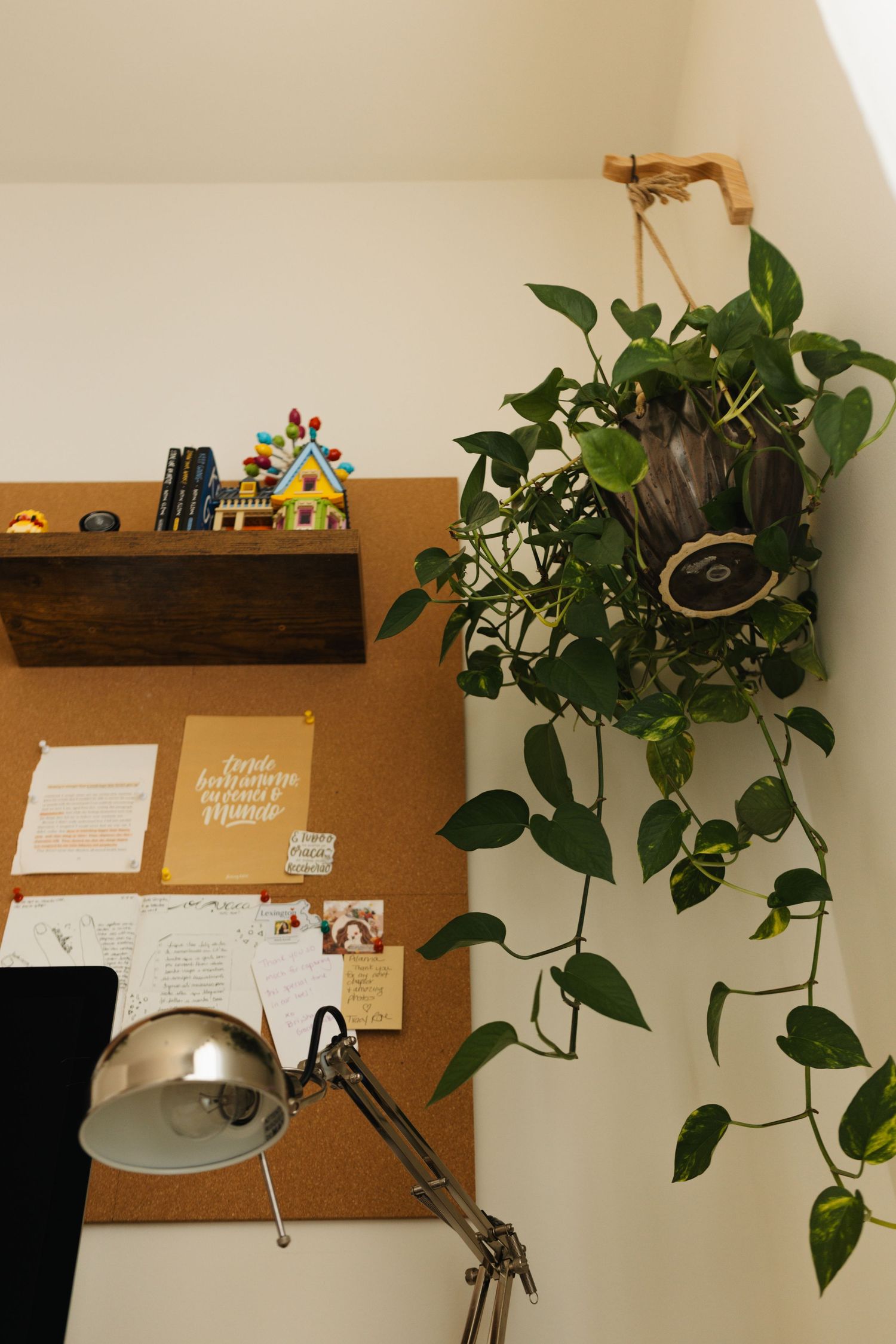 A cozy desk corner featuring a wooden organizer, cork board, adjustable desk lamp, and hanging philodendron plant.