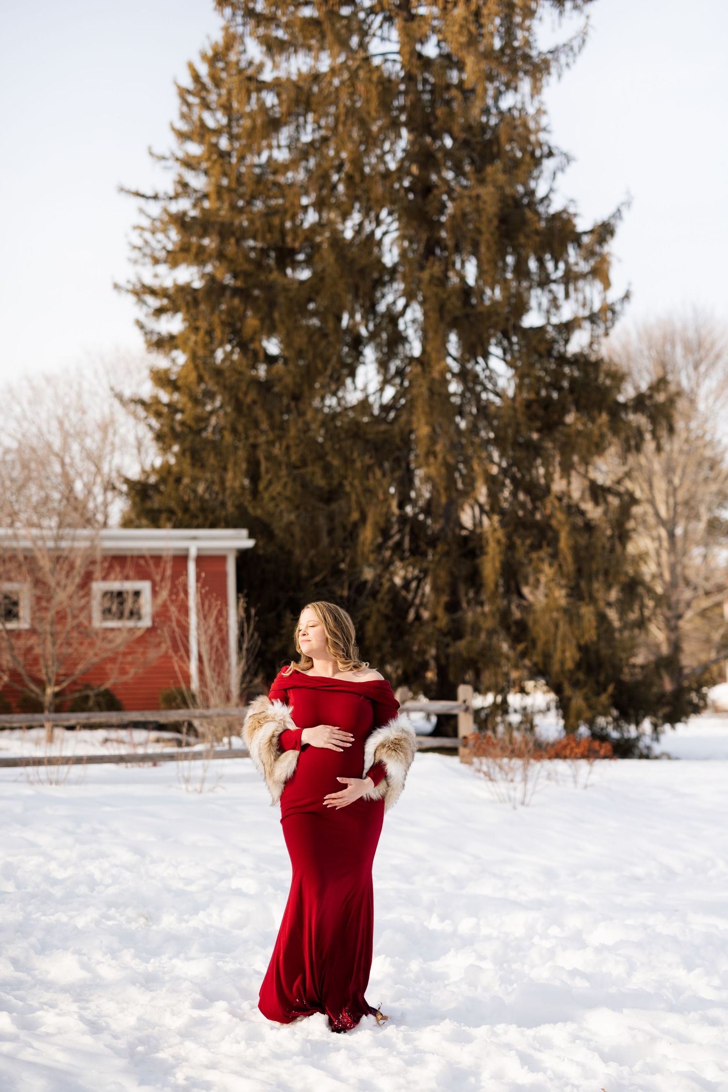 Maternity photography sequence in snowy setting with evergreen trees and red barn.