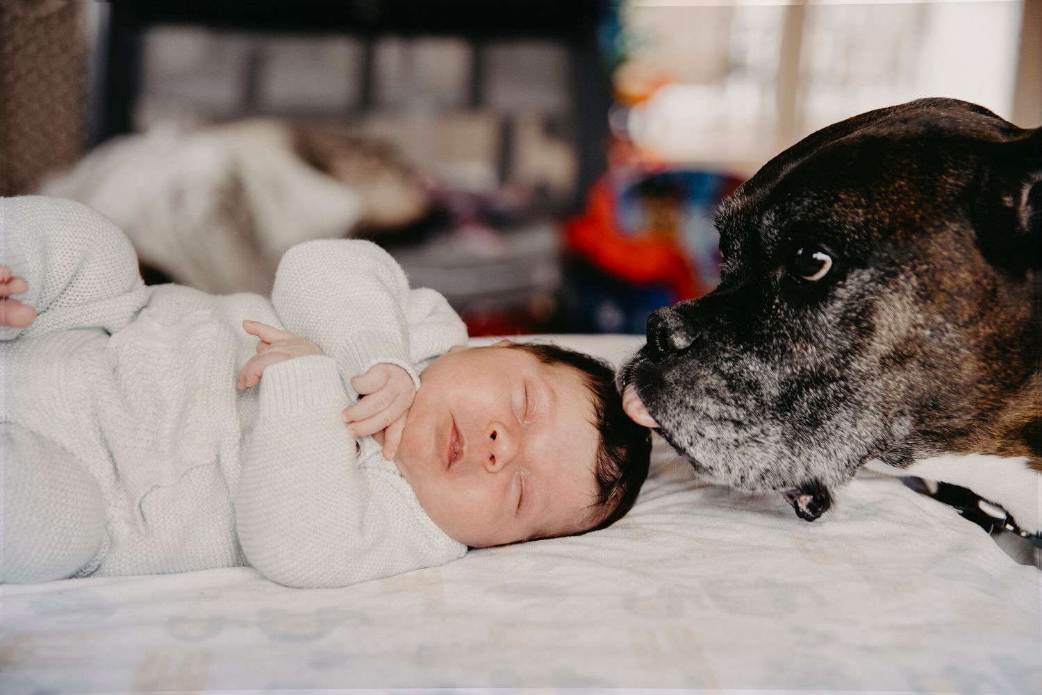 Baby sleeping next to a dark furry dog on white bedding.