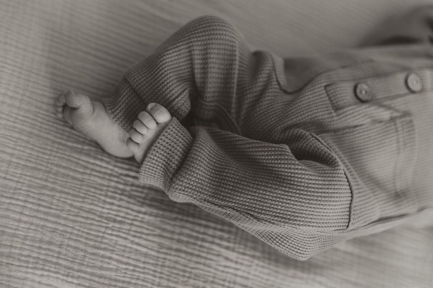Black and white close-up photo of baby feet as a detail photo for newborn photos