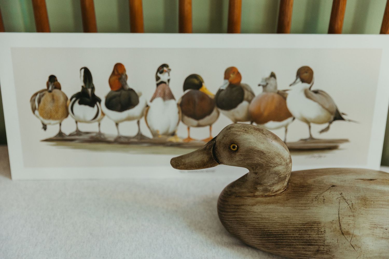 A collection of handcrafted wooden duck decoys arranged in a row on a rustic display surface.