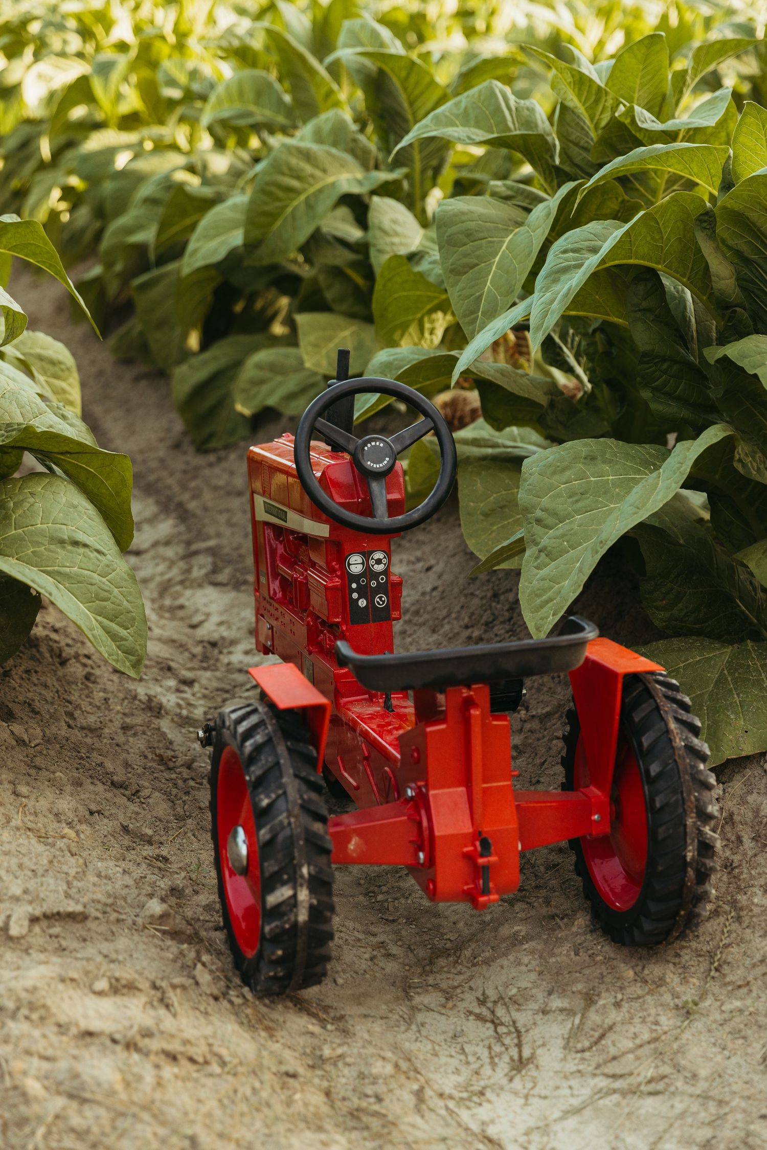 A red toy tractor photographed in sequence moving through green plants and soil in a garden setting.
