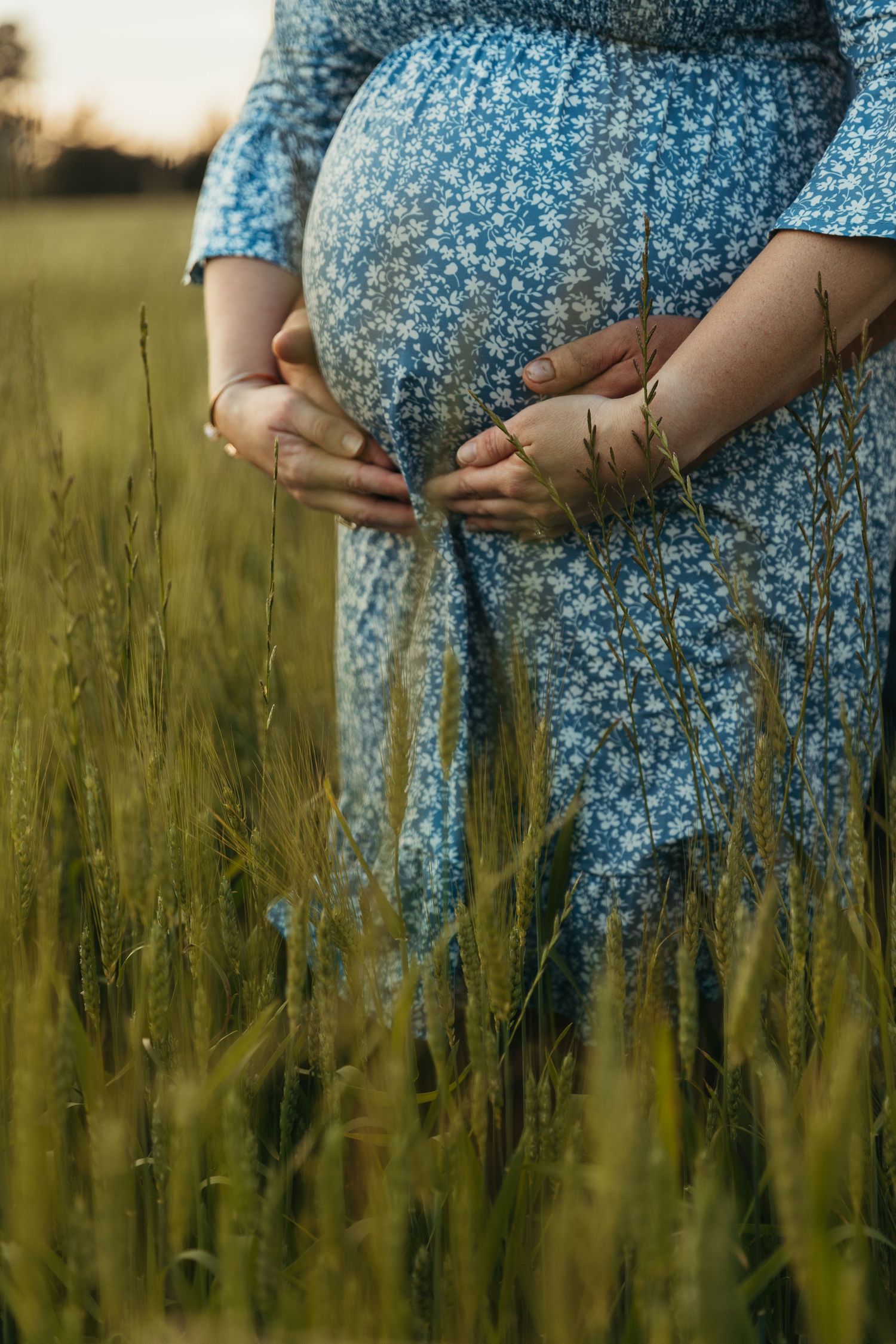 A pregnant woman in a blue floral dress cradles her belly while standing in a golden wheat field at sunset.
