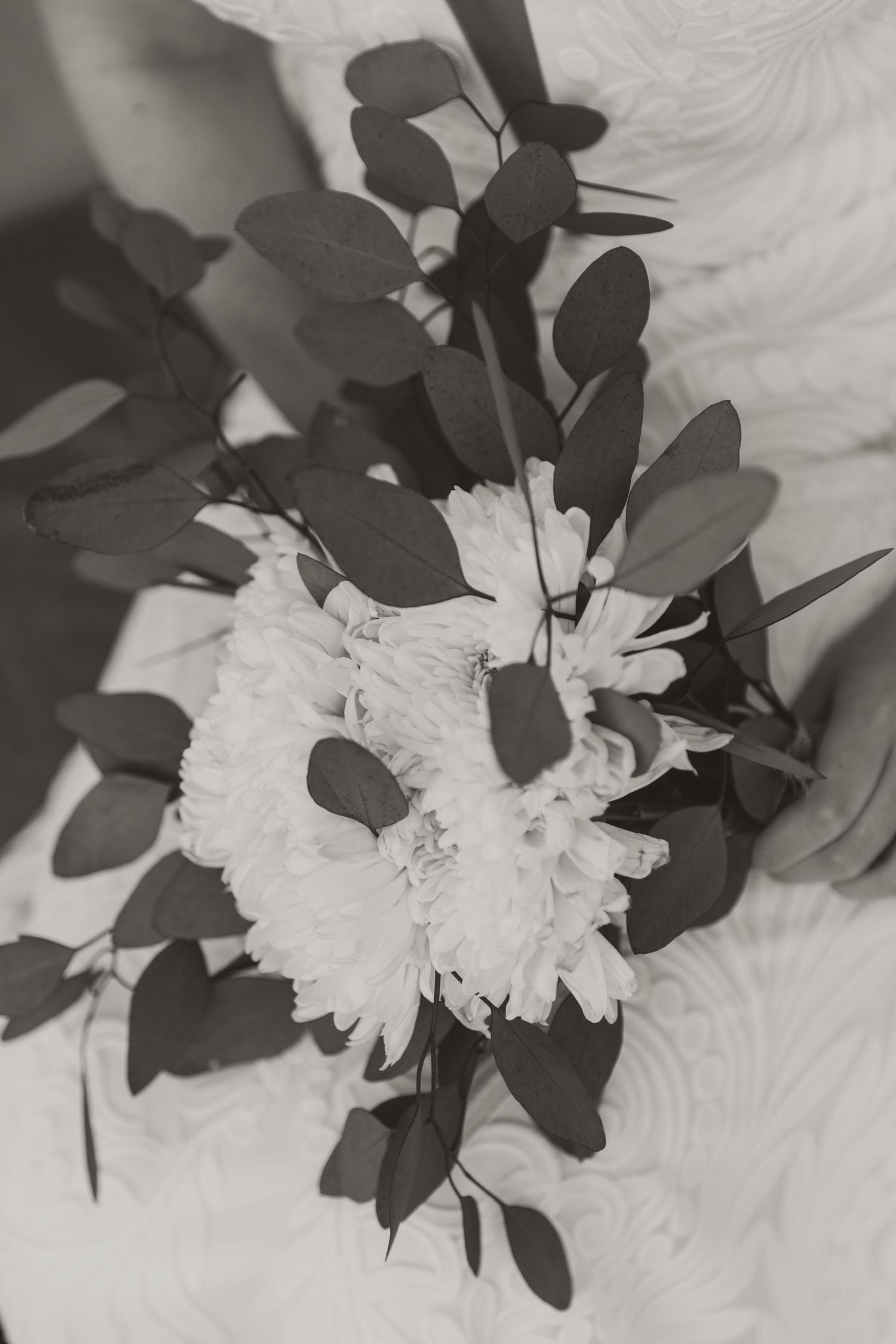 Black and white artistic photograph of delicate white flowers with dark leaves creating dramatic contrast and shadows.