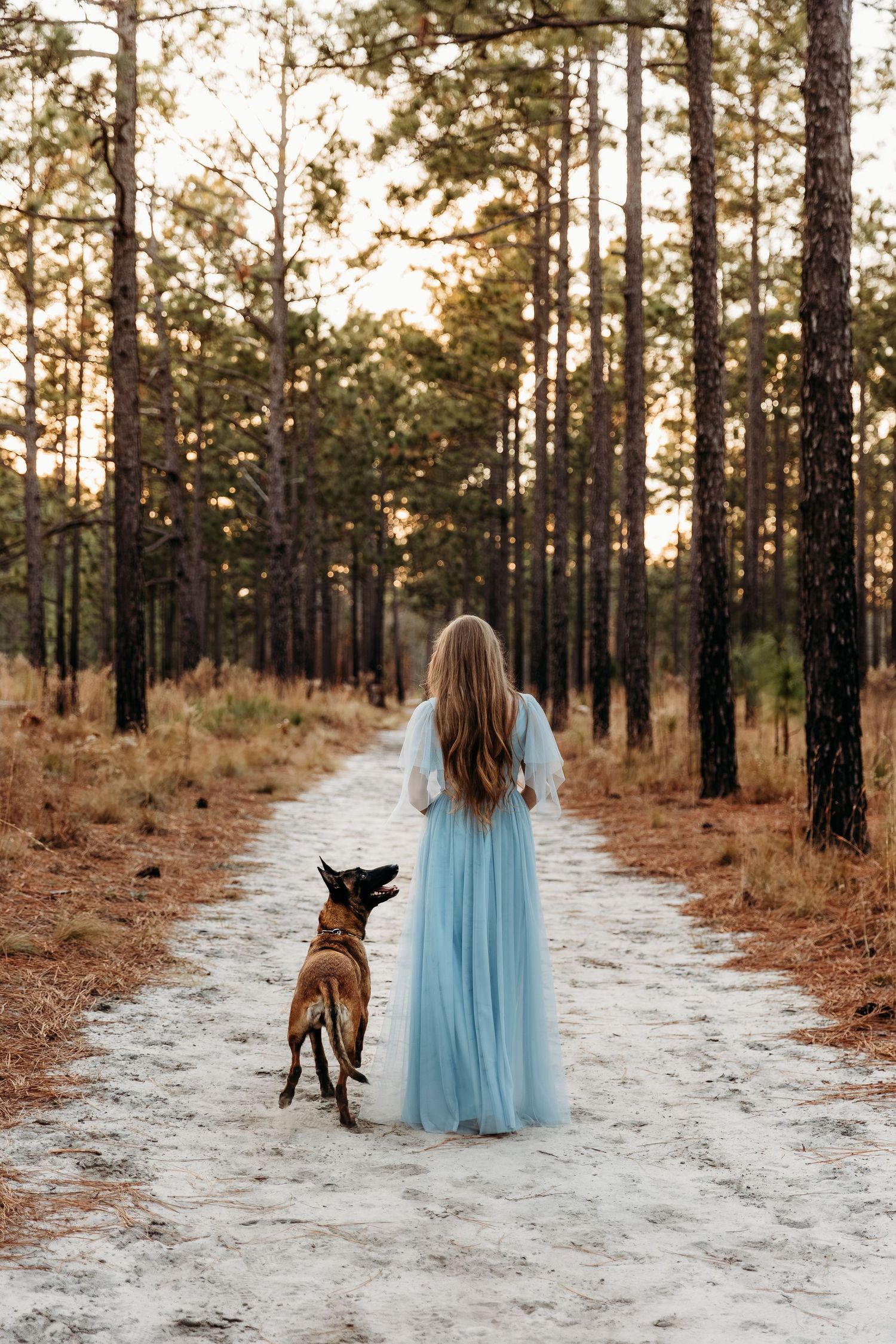 A person in a flowing blue dress walks down a sandy forest path with their dog during golden hour.
