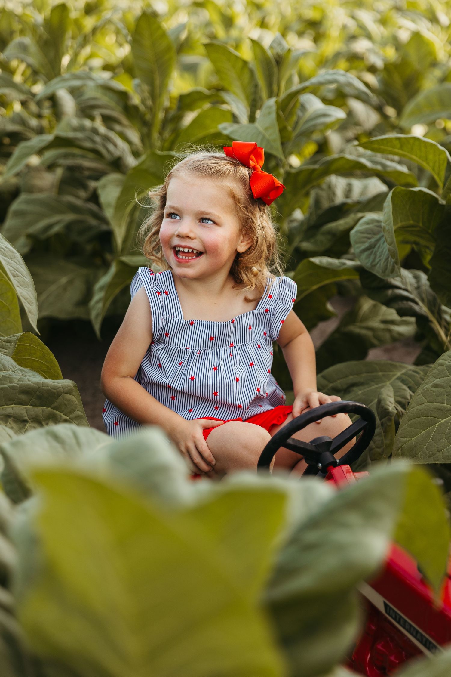 A child wearing a blue dress and red bow sits among lush green tobacco leaves in a summer field setting.
