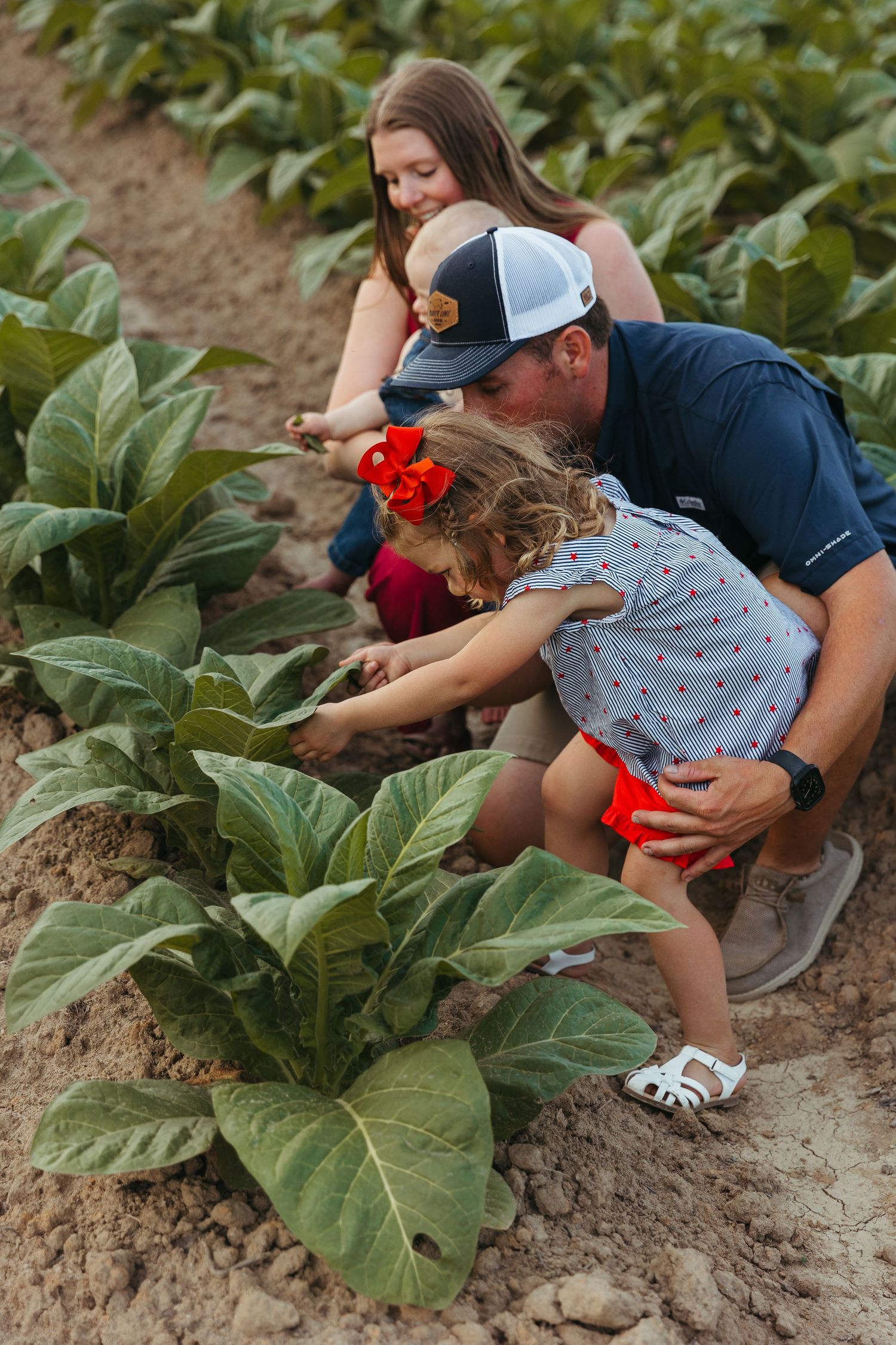 Family harvesting fresh vegetables together in a garden with large leafy plants on a sunny day.