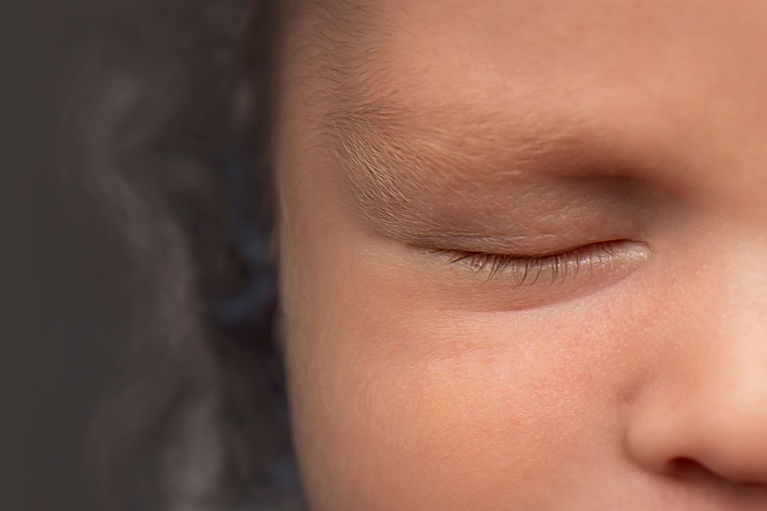 Extreme macro detail shot showing peaceful sleeping features.