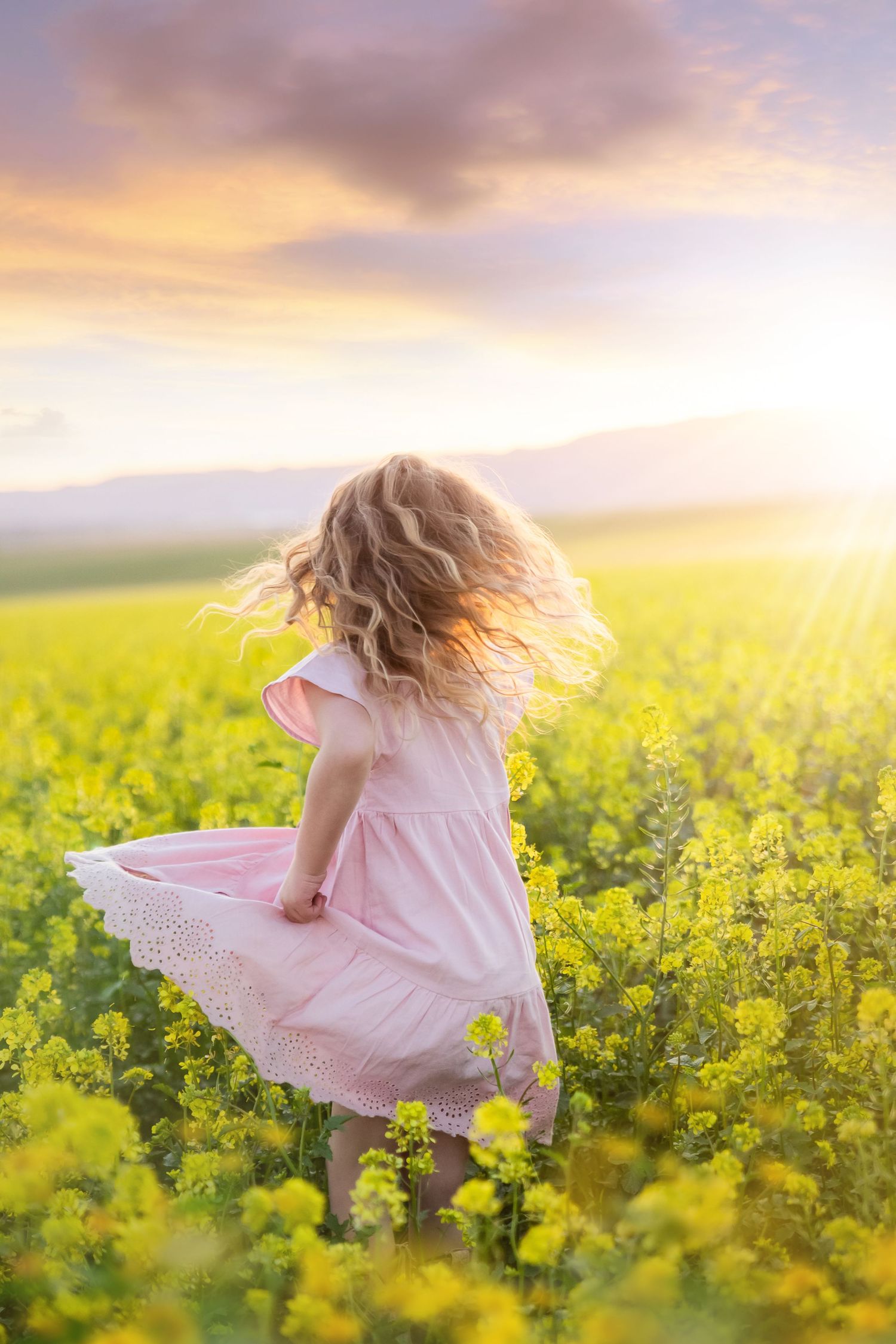 Little girl in pink dress twirling through yellow canola flowers at sunset.