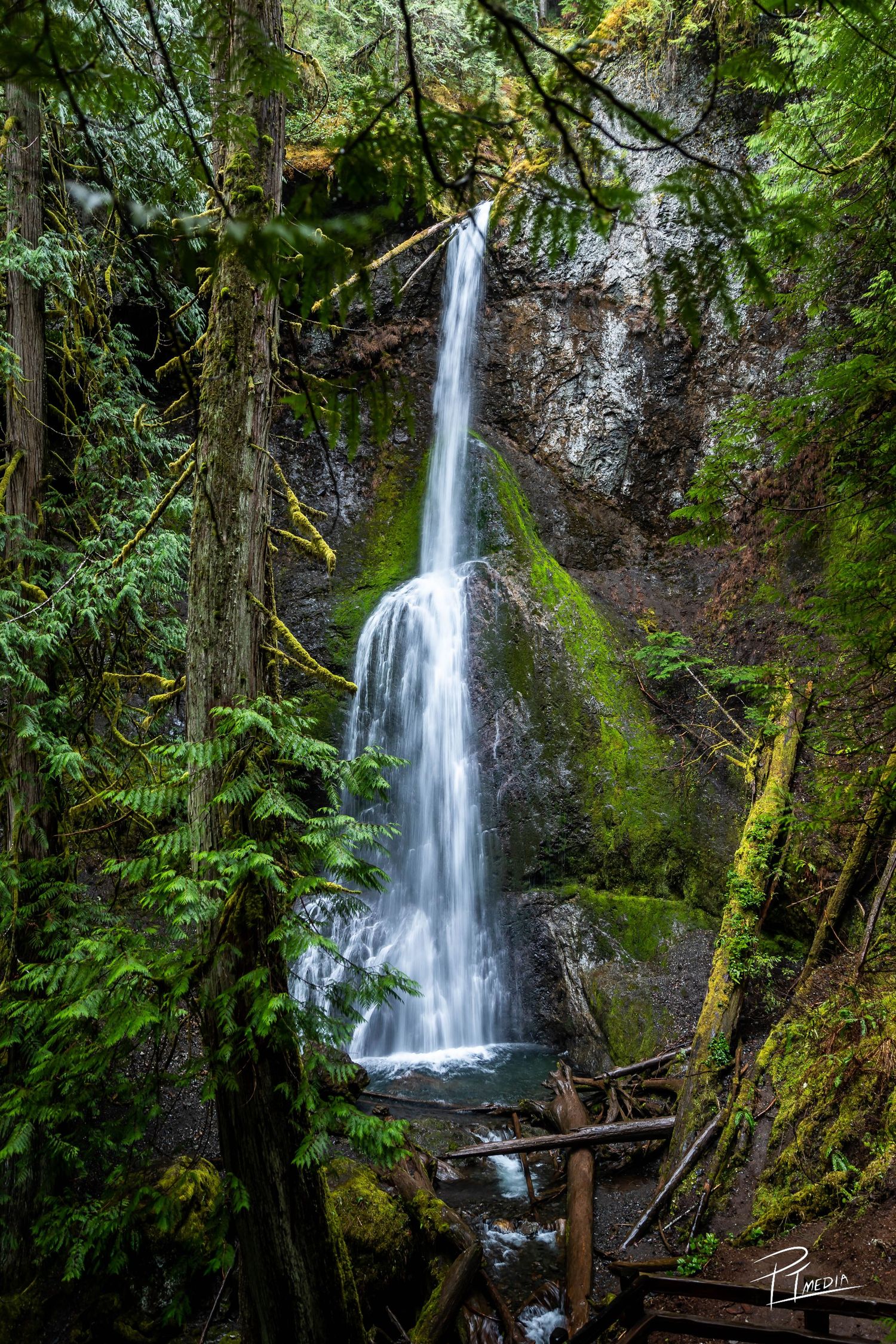 A scenic waterfall cascades down a moss-covered rock face surrounded by lush green forest in the Pacific Northwest.